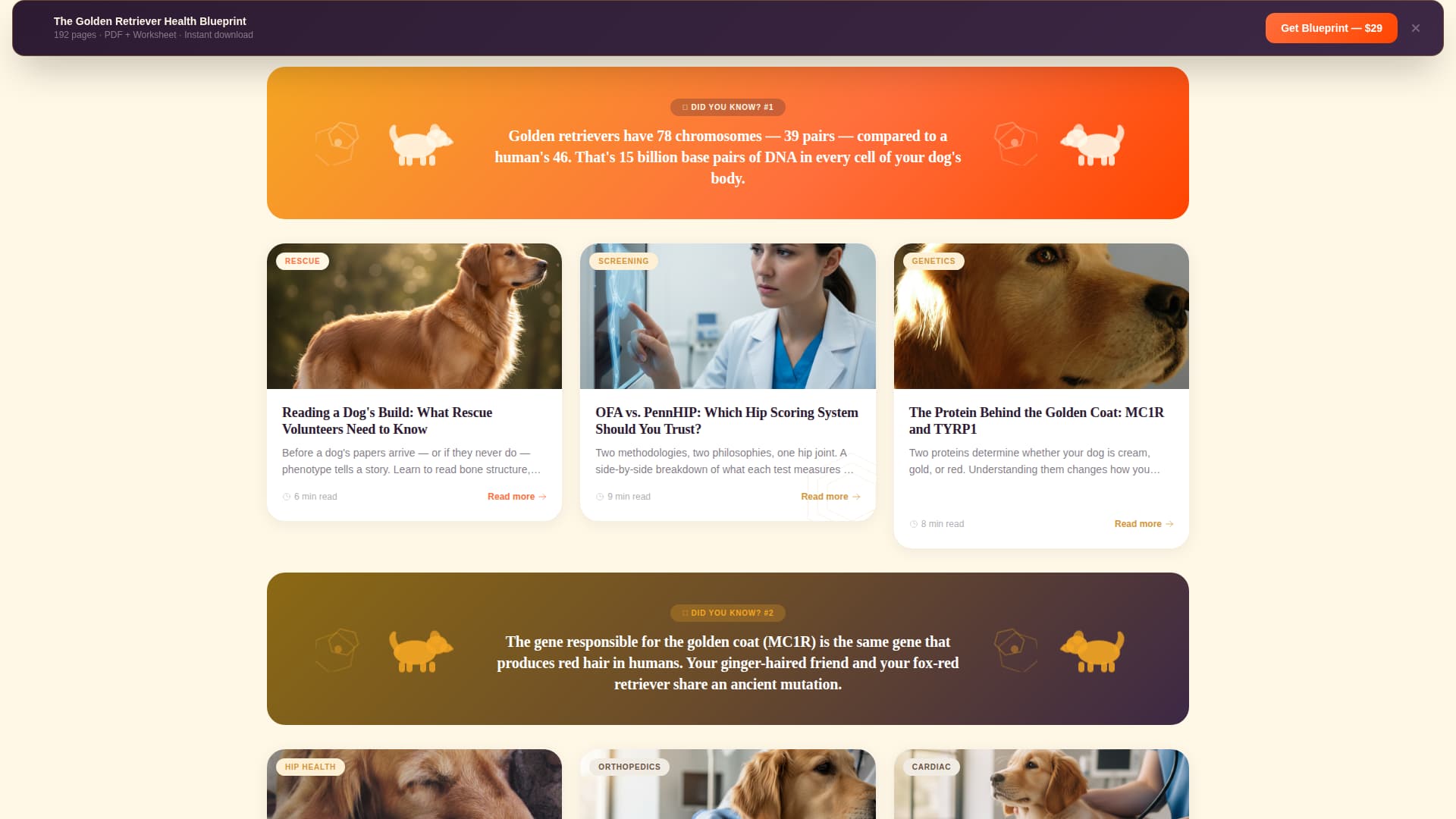 Dog Advanced Blog Website Template