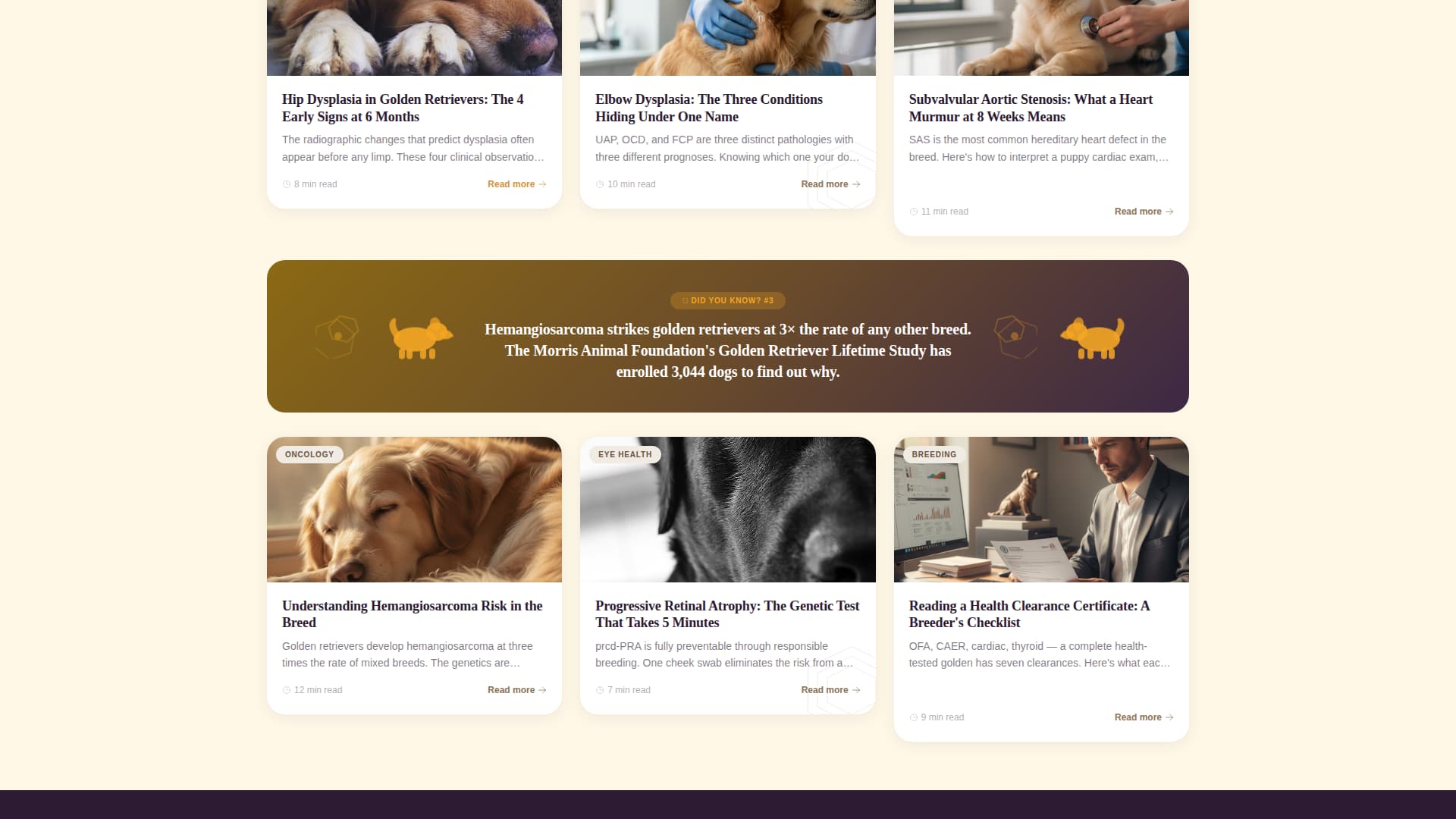 Dog Advanced Blog Website Template
