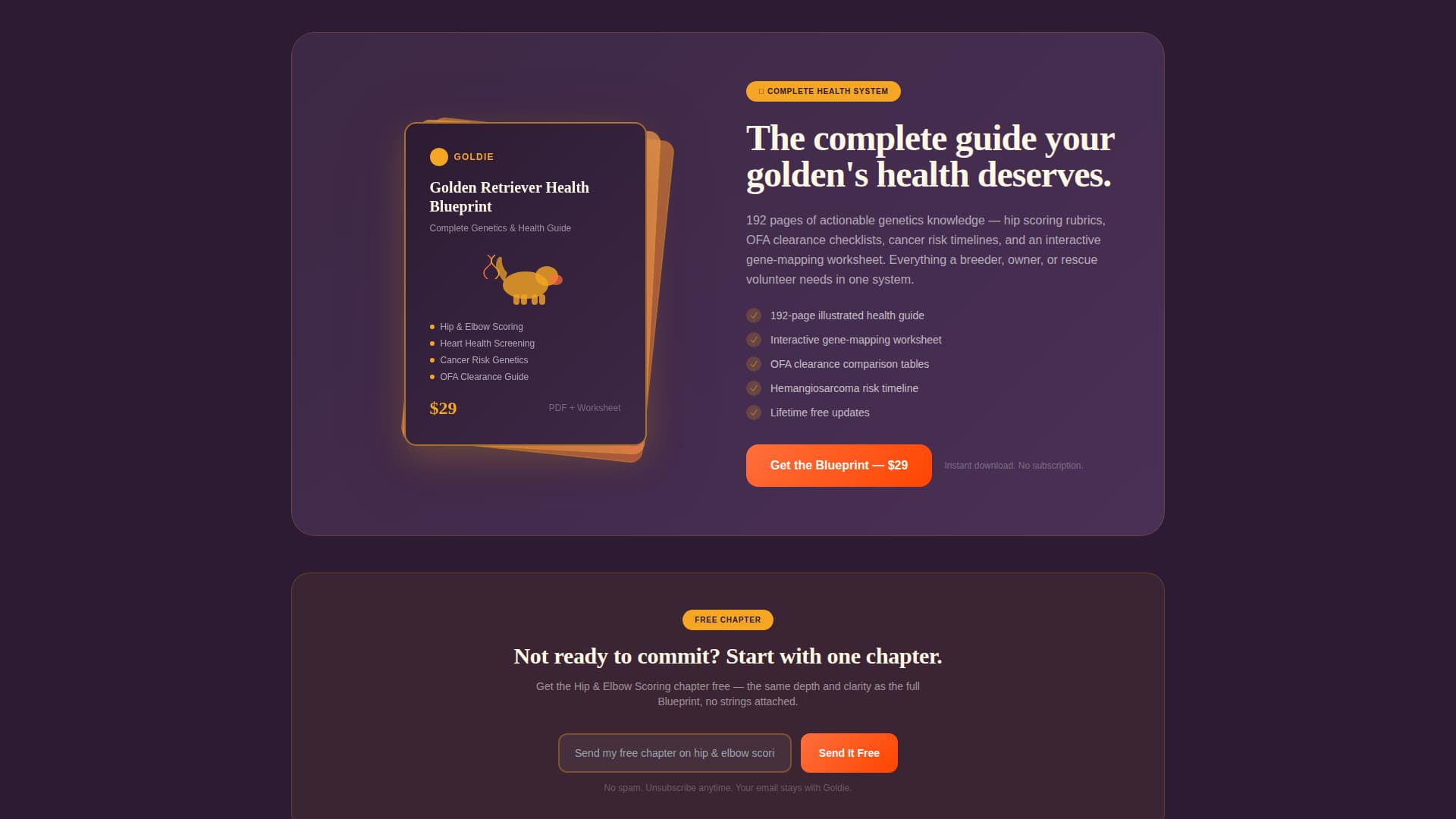 Dog Advanced Blog Website Template