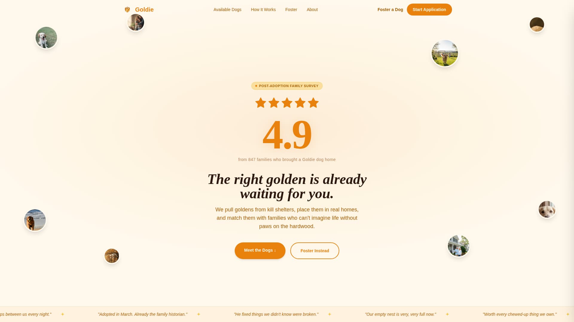 Dog Certified Professional Website Template