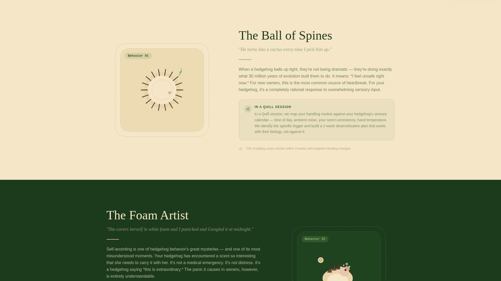 Hedgehog Services Appointment Booking Website Template