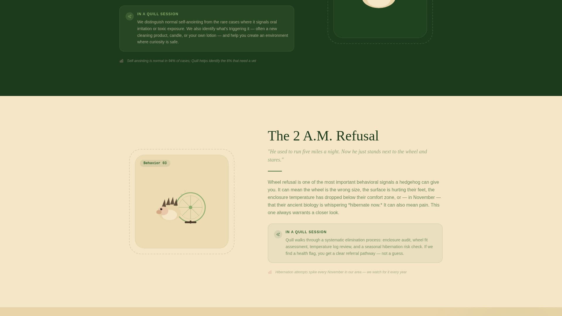 Hedgehog Services Appointment Booking Website Template