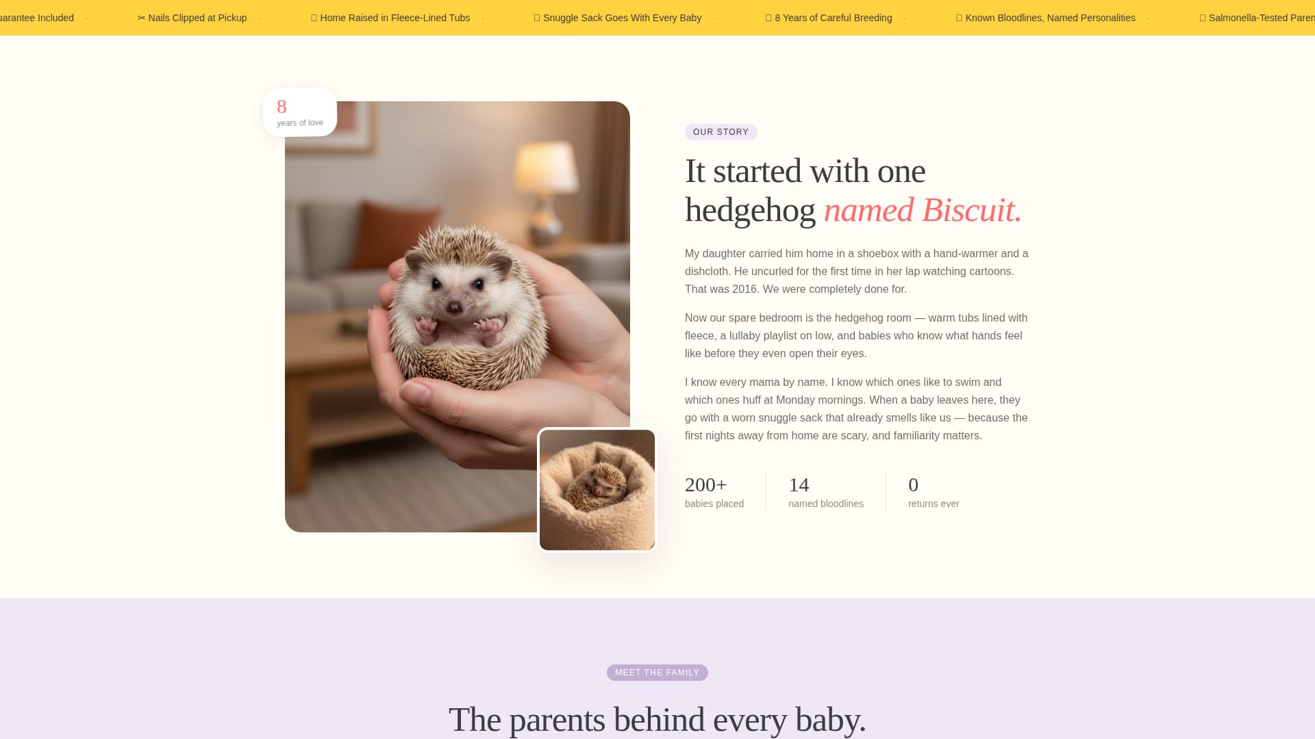 Complete Hedgehog Services Professional Website Template