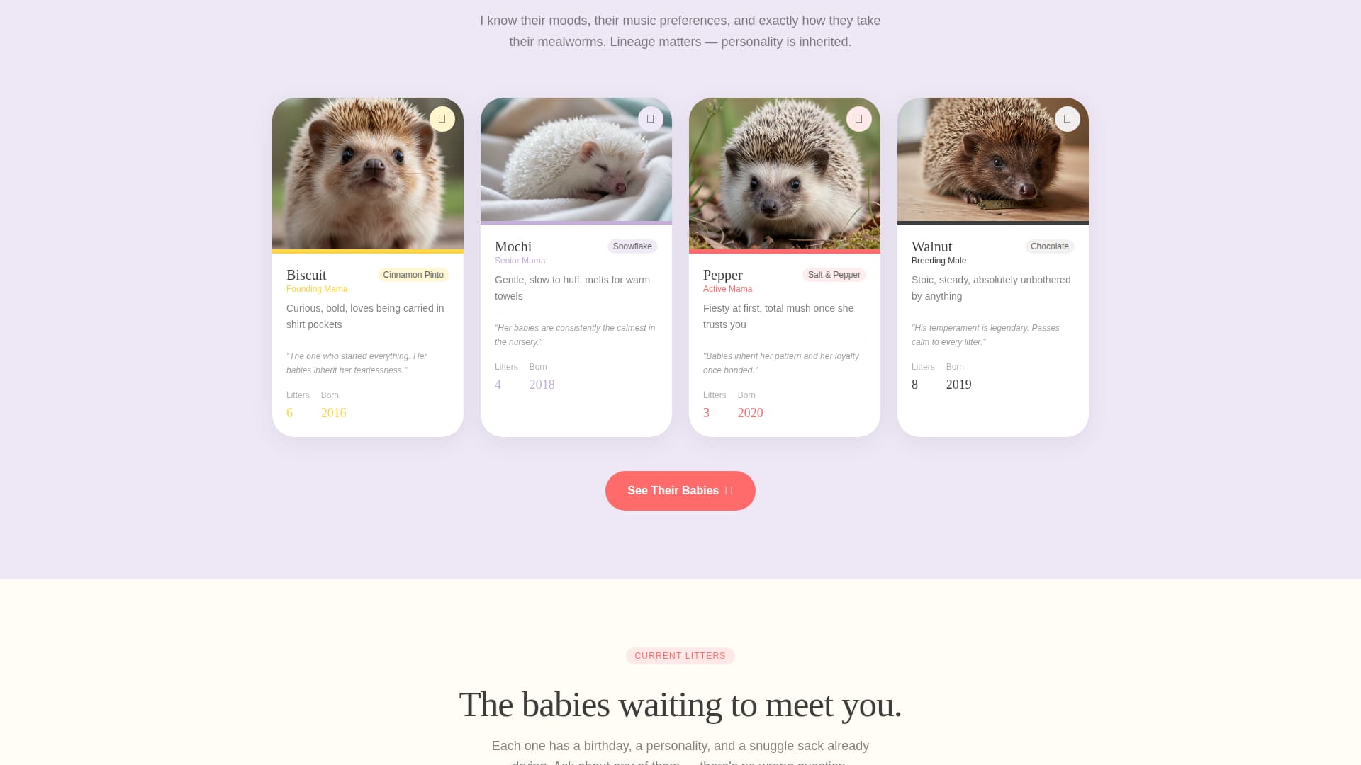 Complete Hedgehog Services Professional Website Template