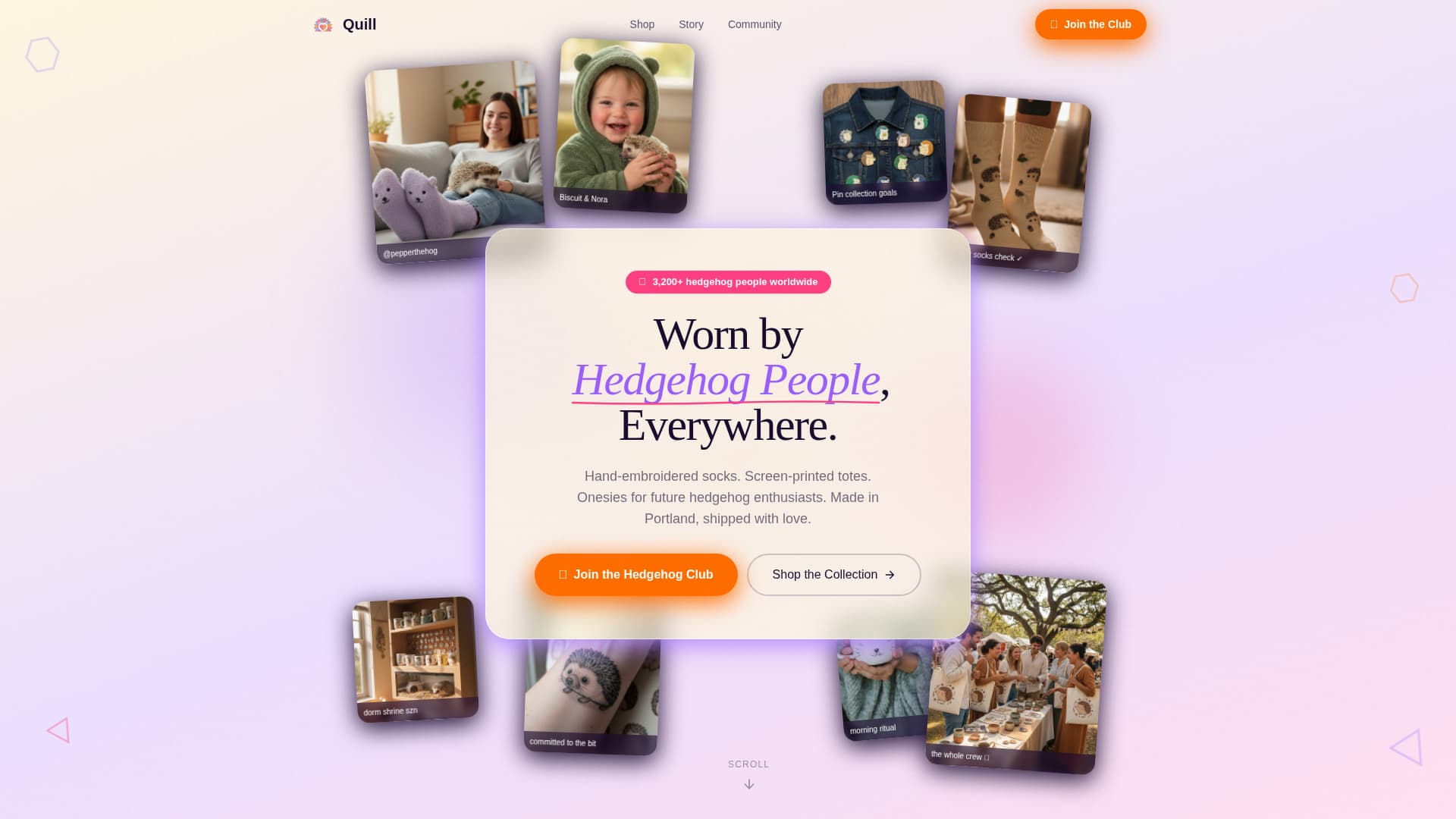 Specialist Hedgehog Services Professional Website Template
