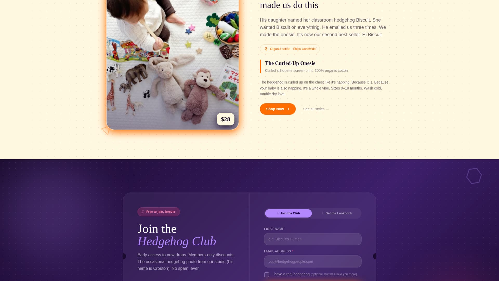 Specialist Hedgehog Services Professional Website Template