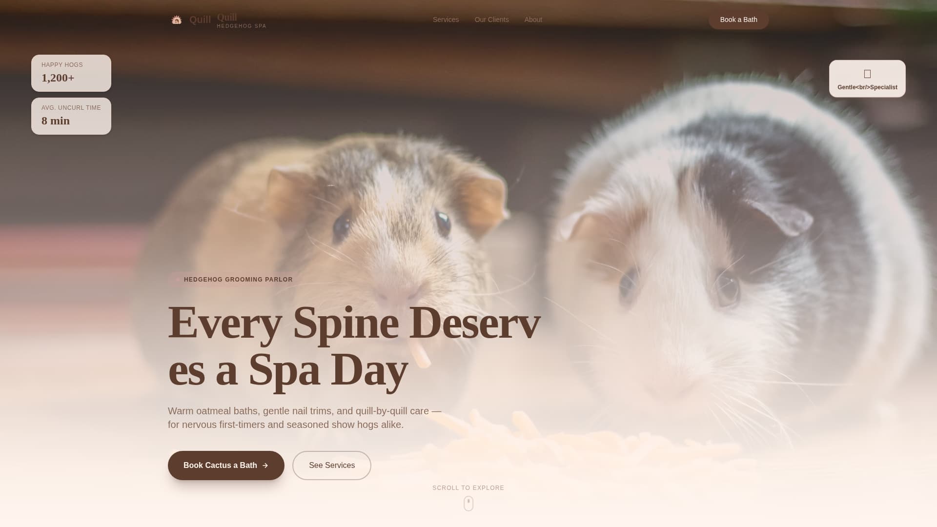 Specialist Hedgehog Services Appointment Booking Website Template