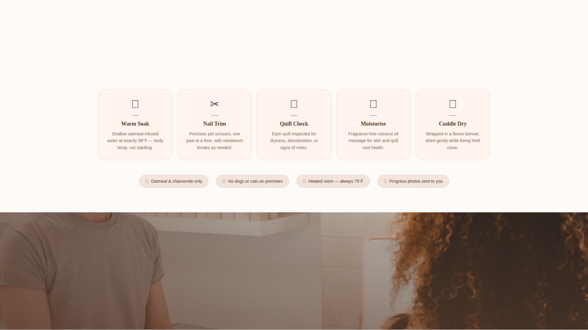 Specialist Hedgehog Services Appointment Booking Website Template
