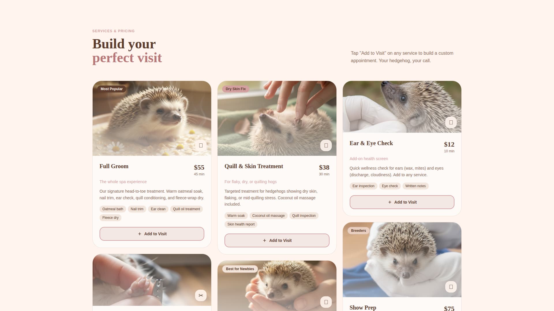 Specialist Hedgehog Services Appointment Booking Website Template