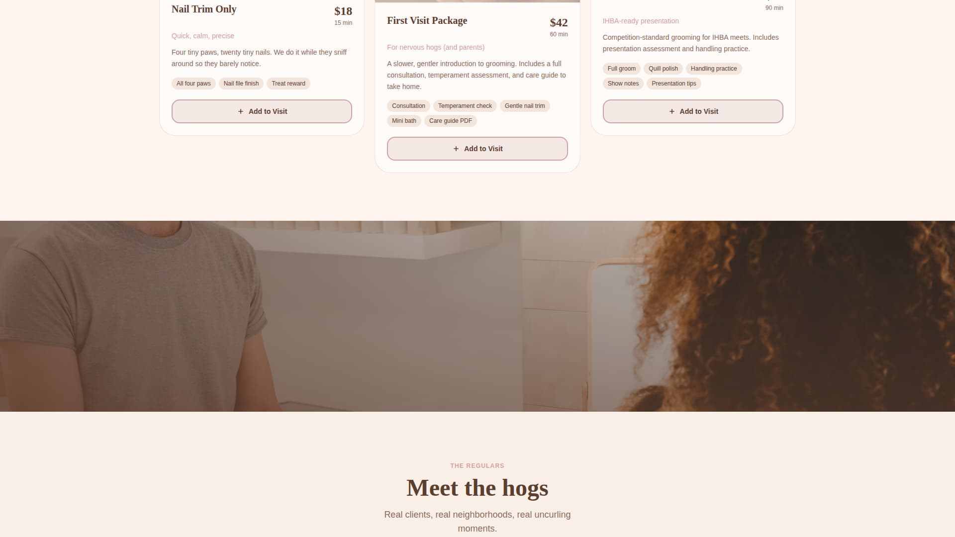 Specialist Hedgehog Services Appointment Booking Website Template