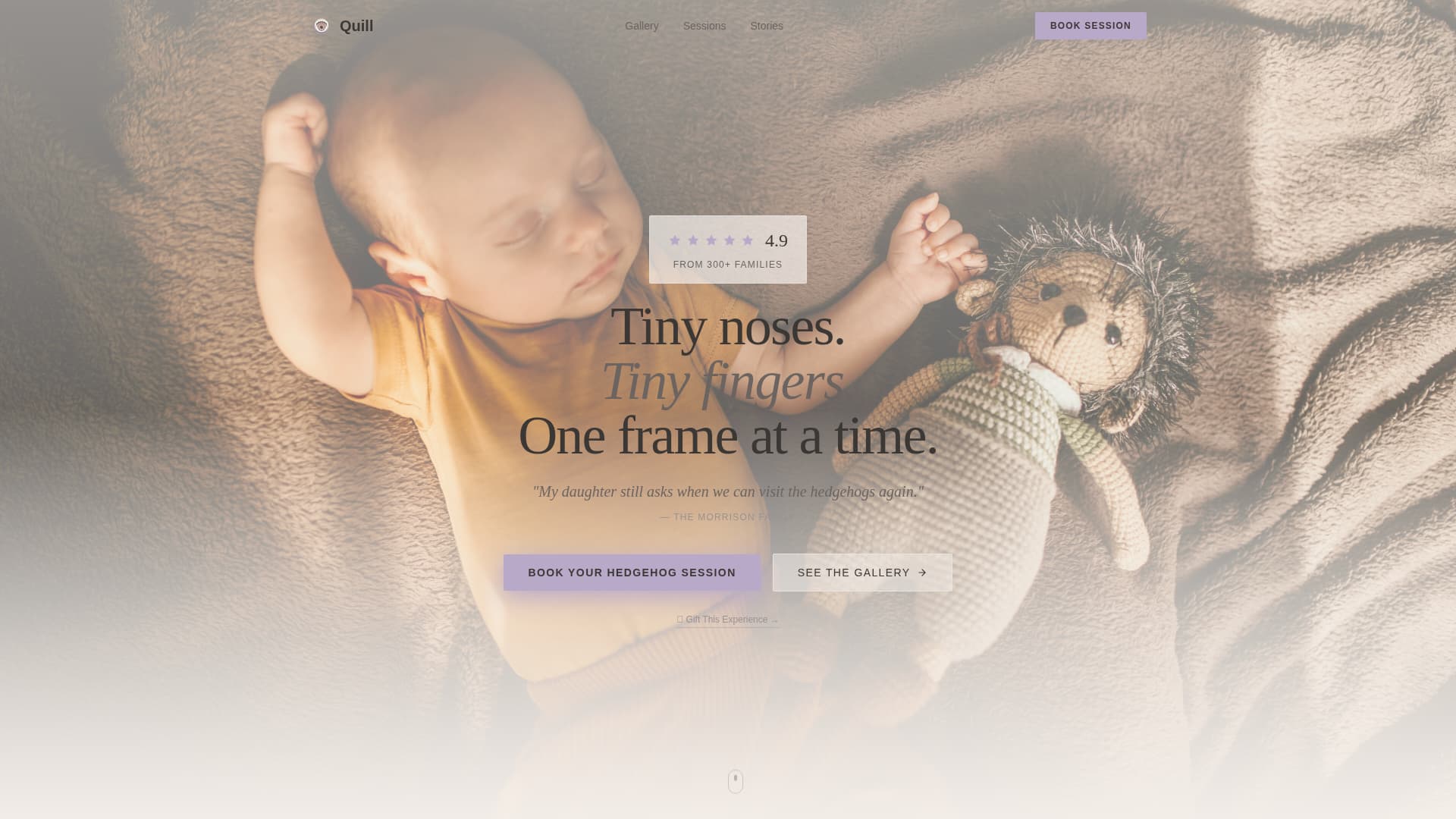 Expert Hedgehog Services Appointment Booking Website Template