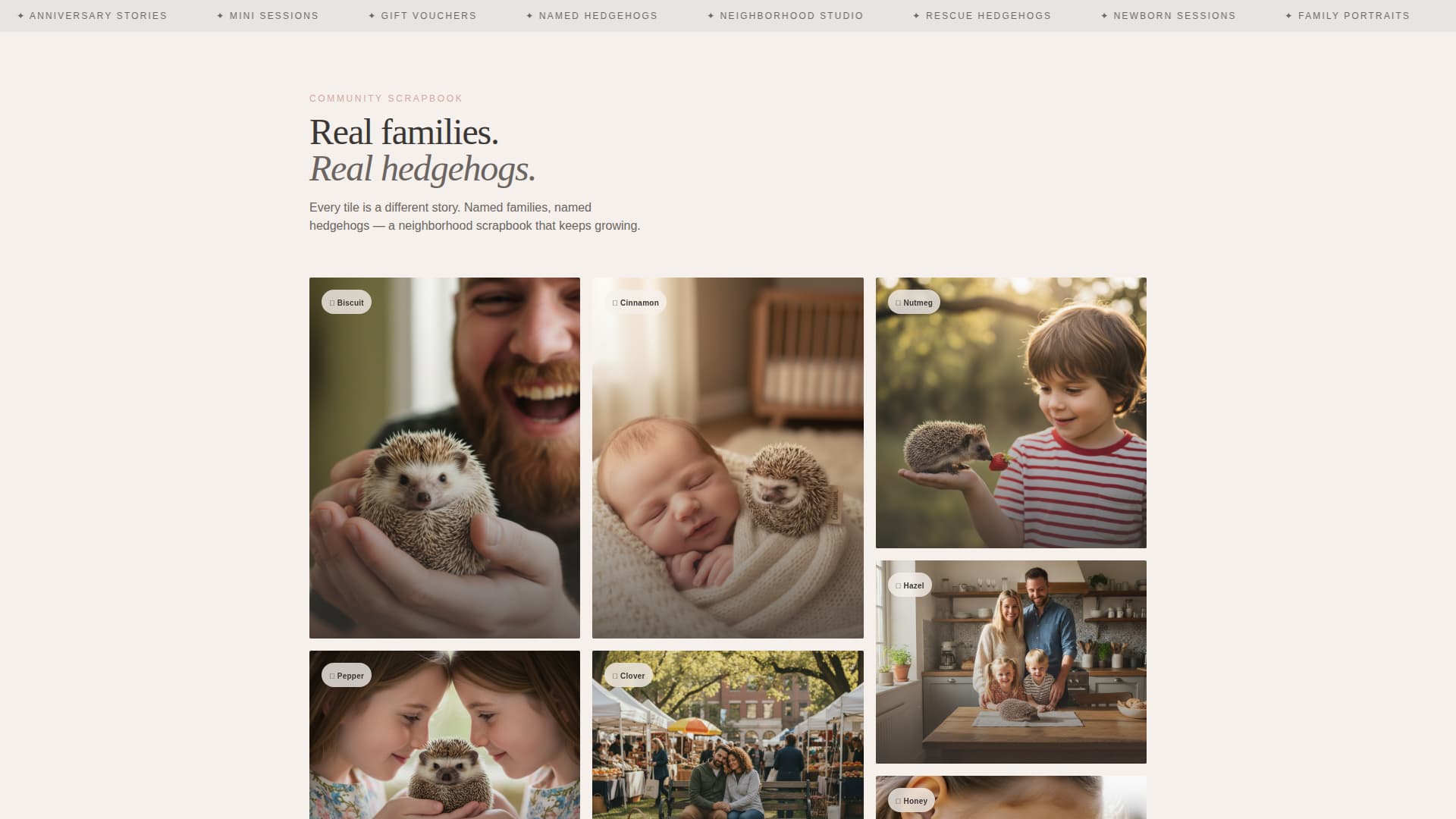 Expert Hedgehog Services Appointment Booking Website Template