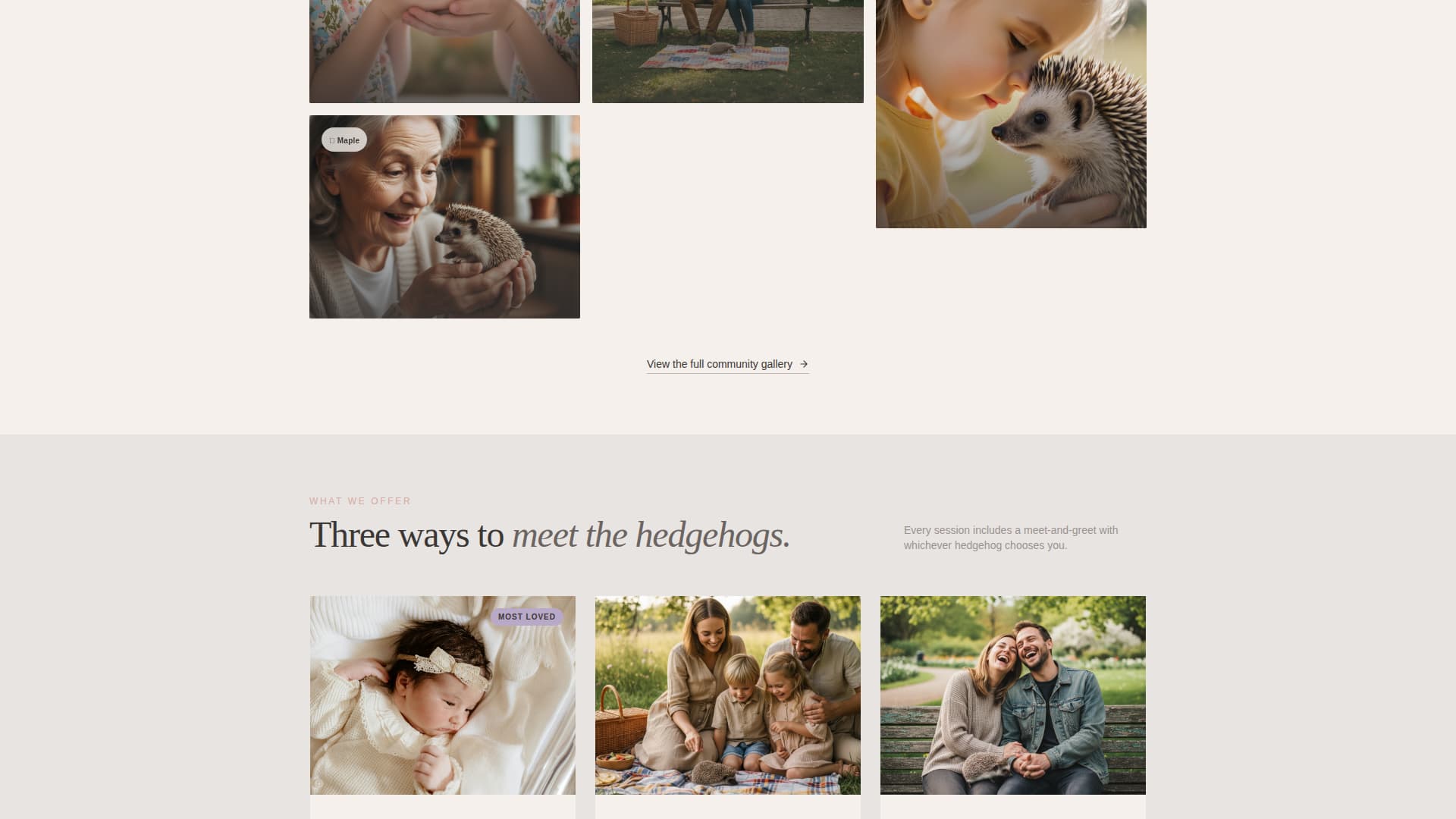 Expert Hedgehog Services Appointment Booking Website Template
