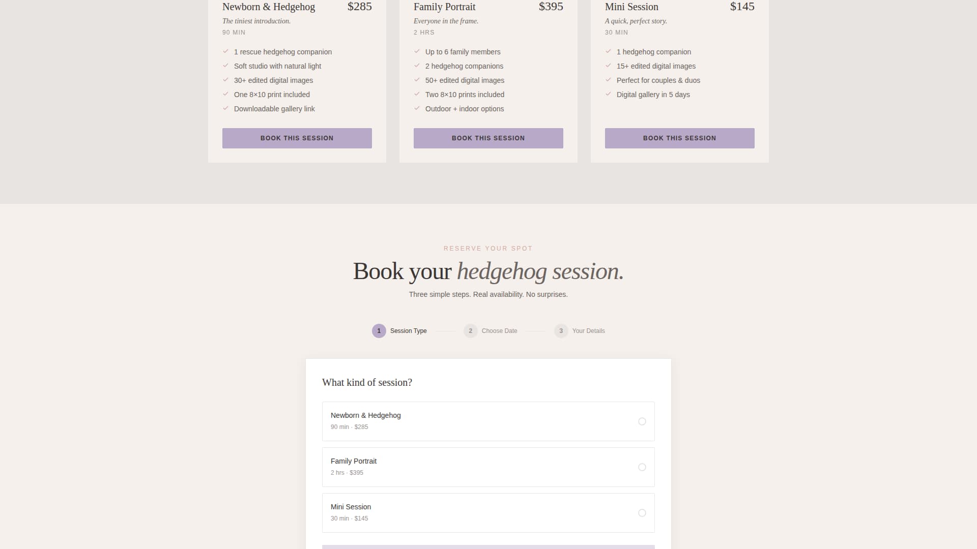 Expert Hedgehog Services Appointment Booking Website Template