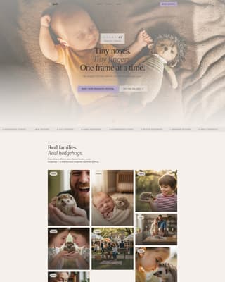 Expert Hedgehog Services Appointment Booking Website Template