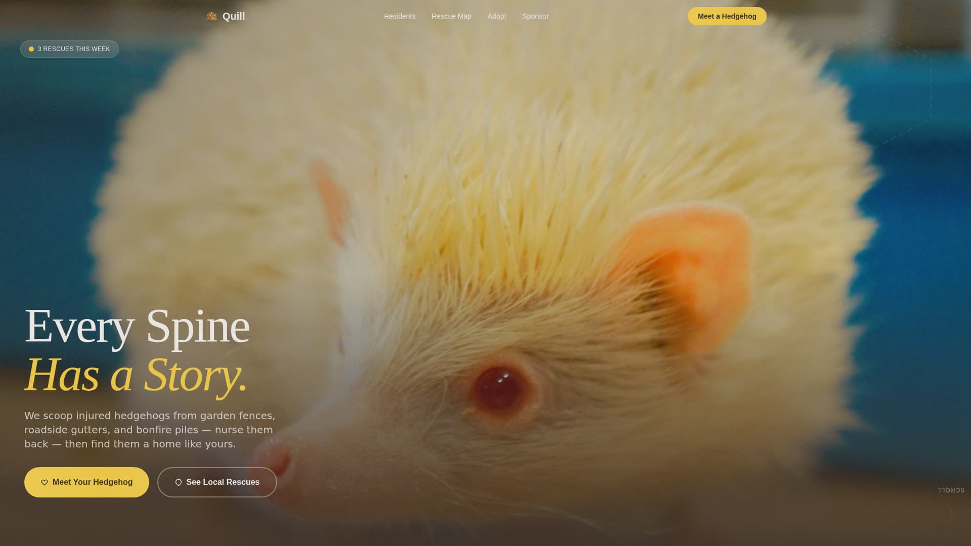 Hedgehog Services Portfolio & Case Study Website Template