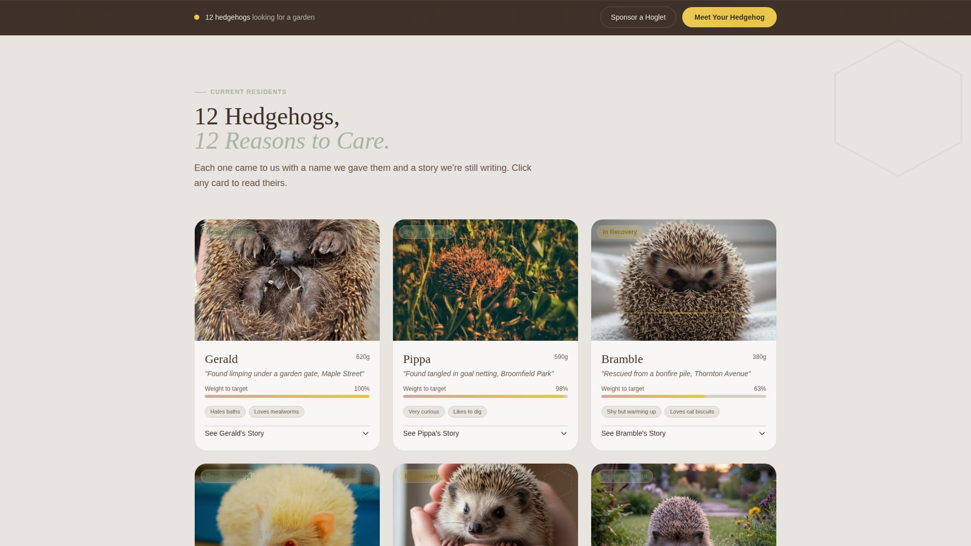 Hedgehog Services Portfolio & Case Study Website Template