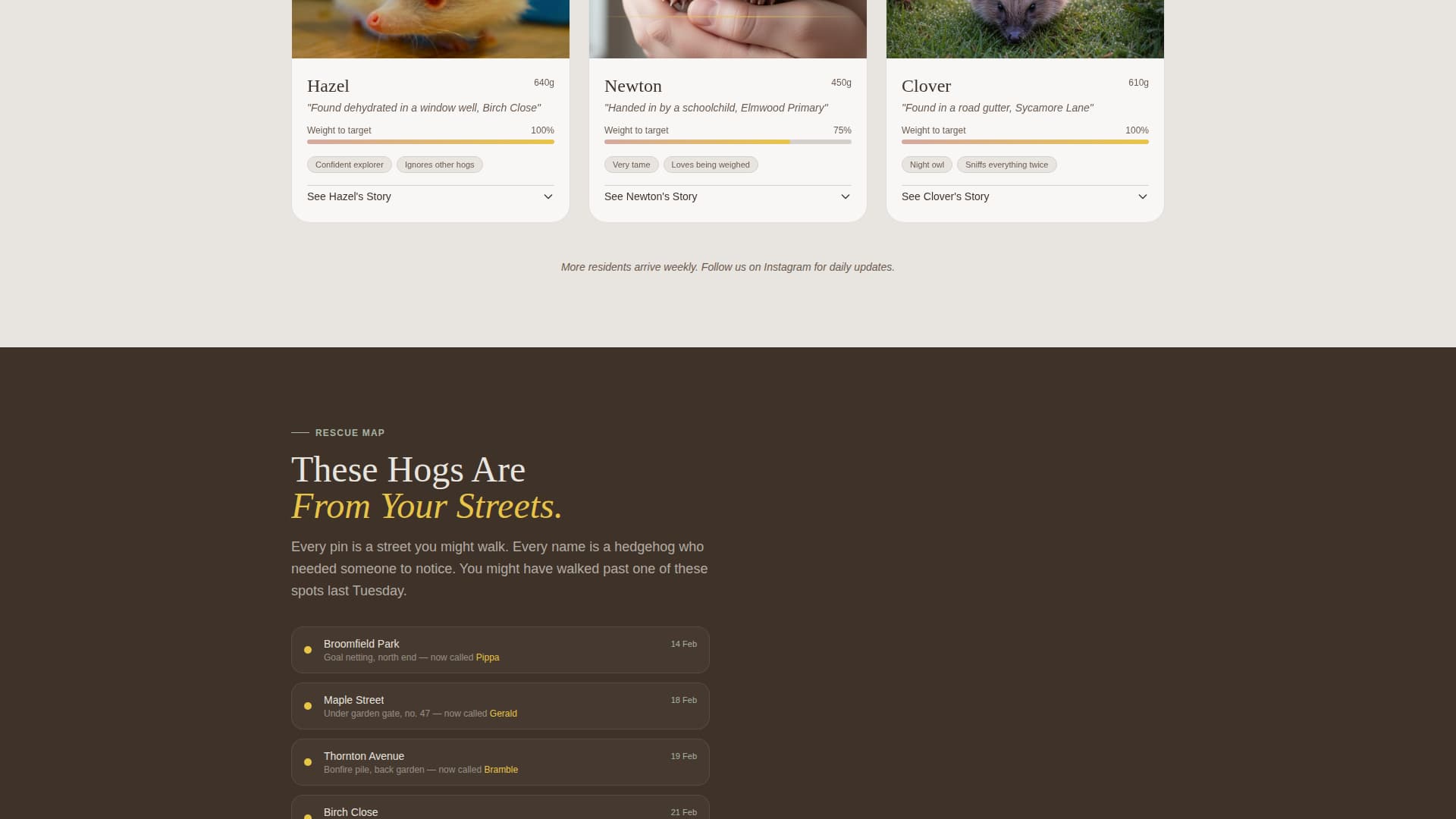 Hedgehog Services Portfolio & Case Study Website Template