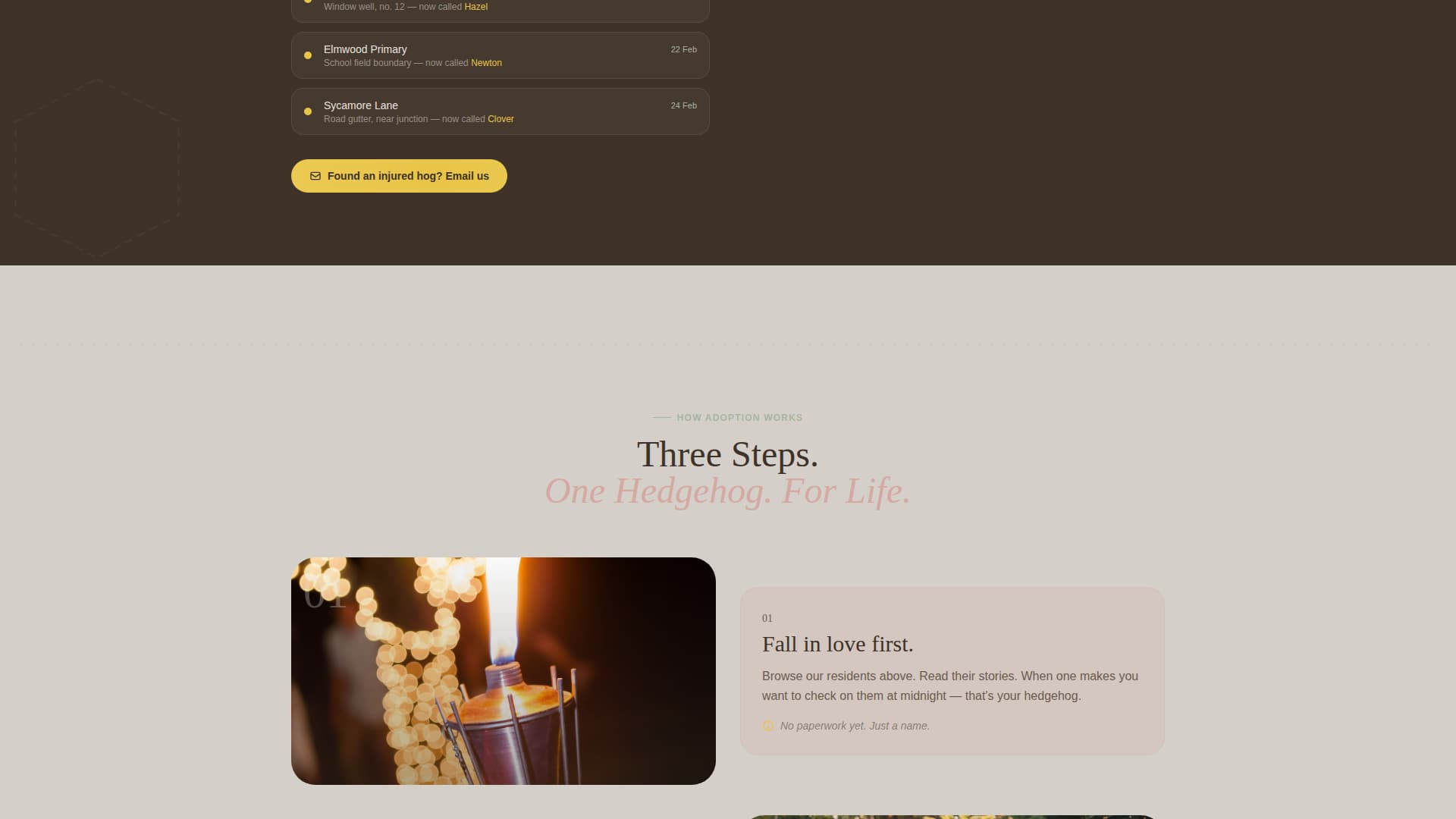Hedgehog Services Portfolio & Case Study Website Template