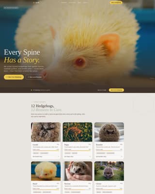 Hedgehog Services Portfolio & Case Study Website Template