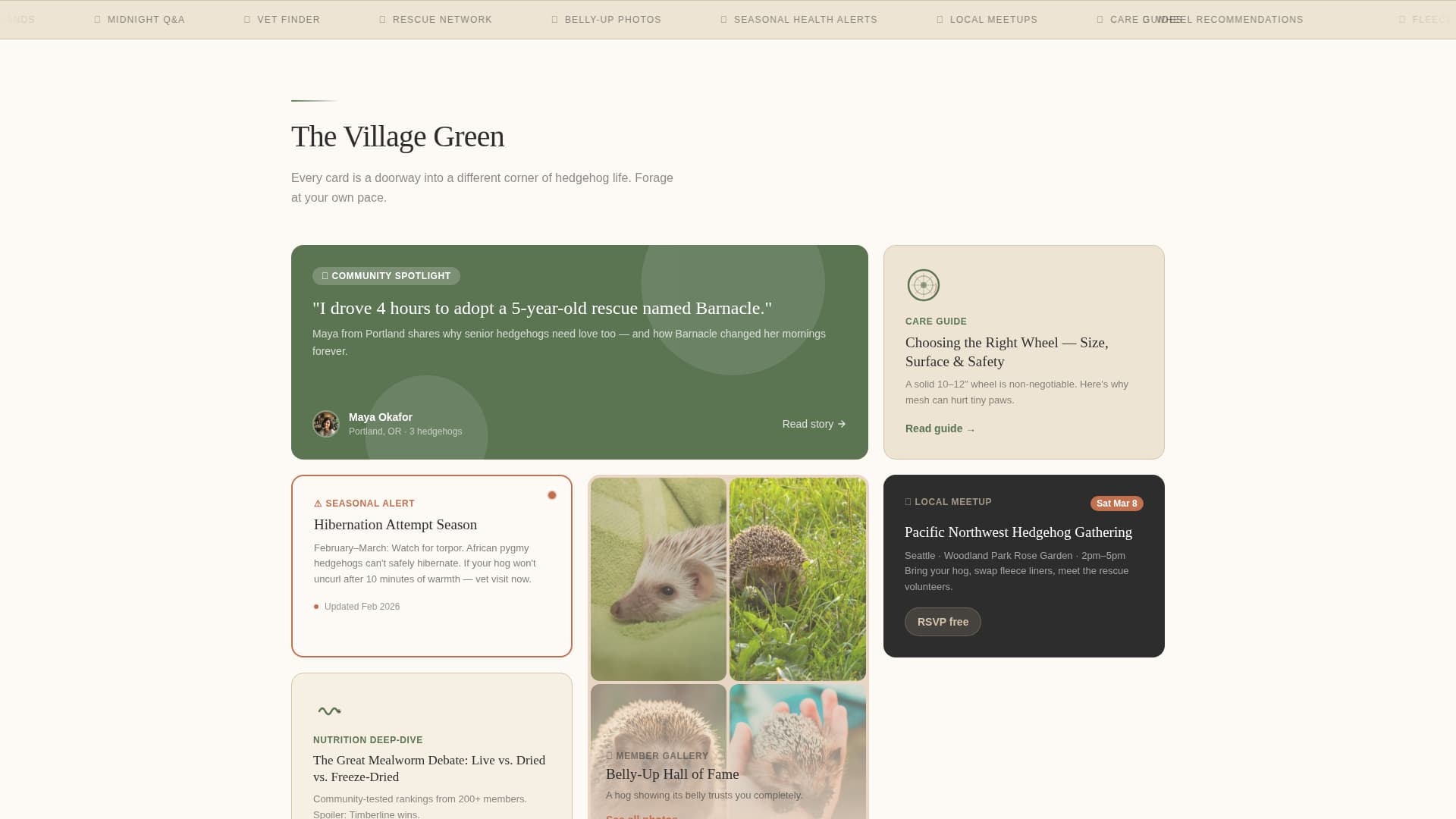 Advanced Hedgehog Services Professional Website Template