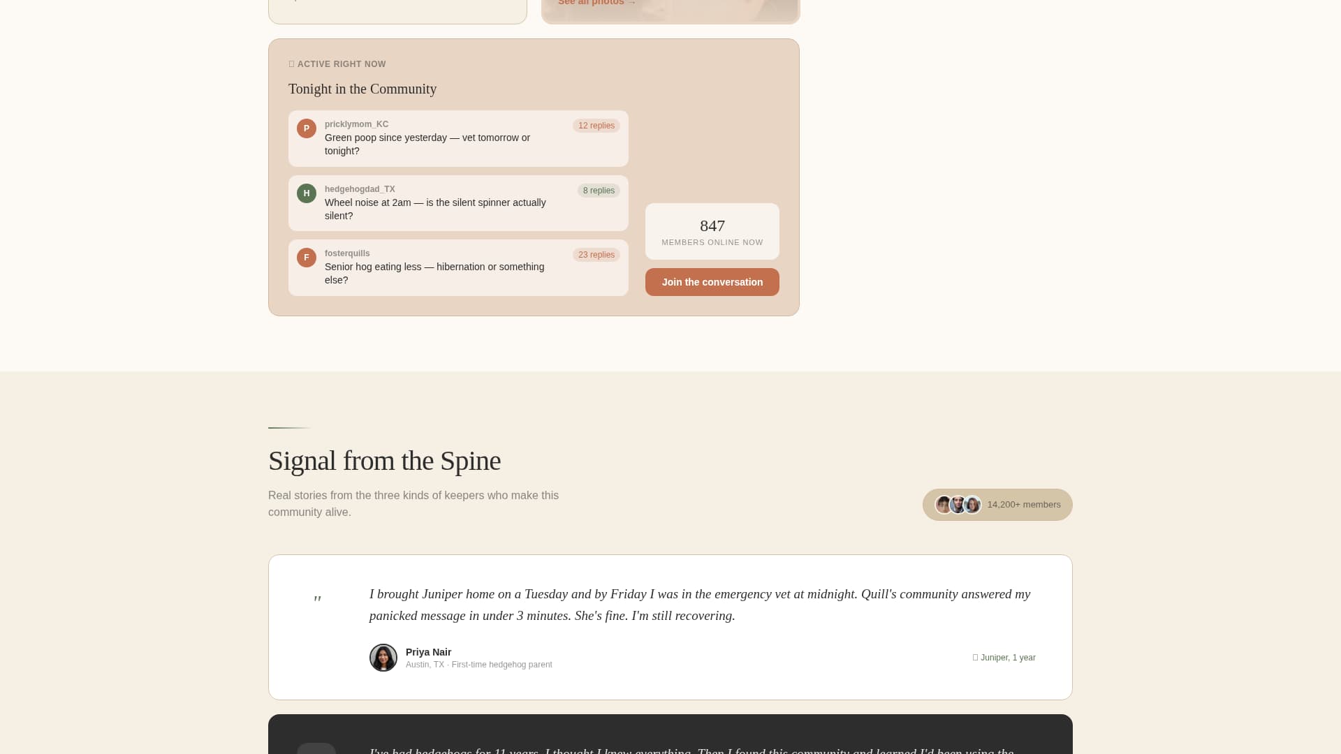 Advanced Hedgehog Services Professional Website Template
