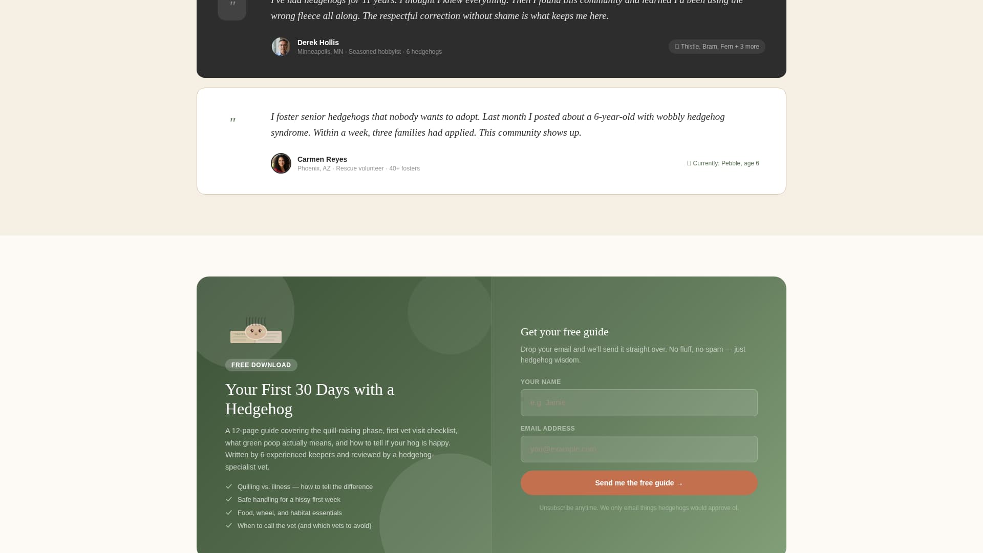 Advanced Hedgehog Services Professional Website Template