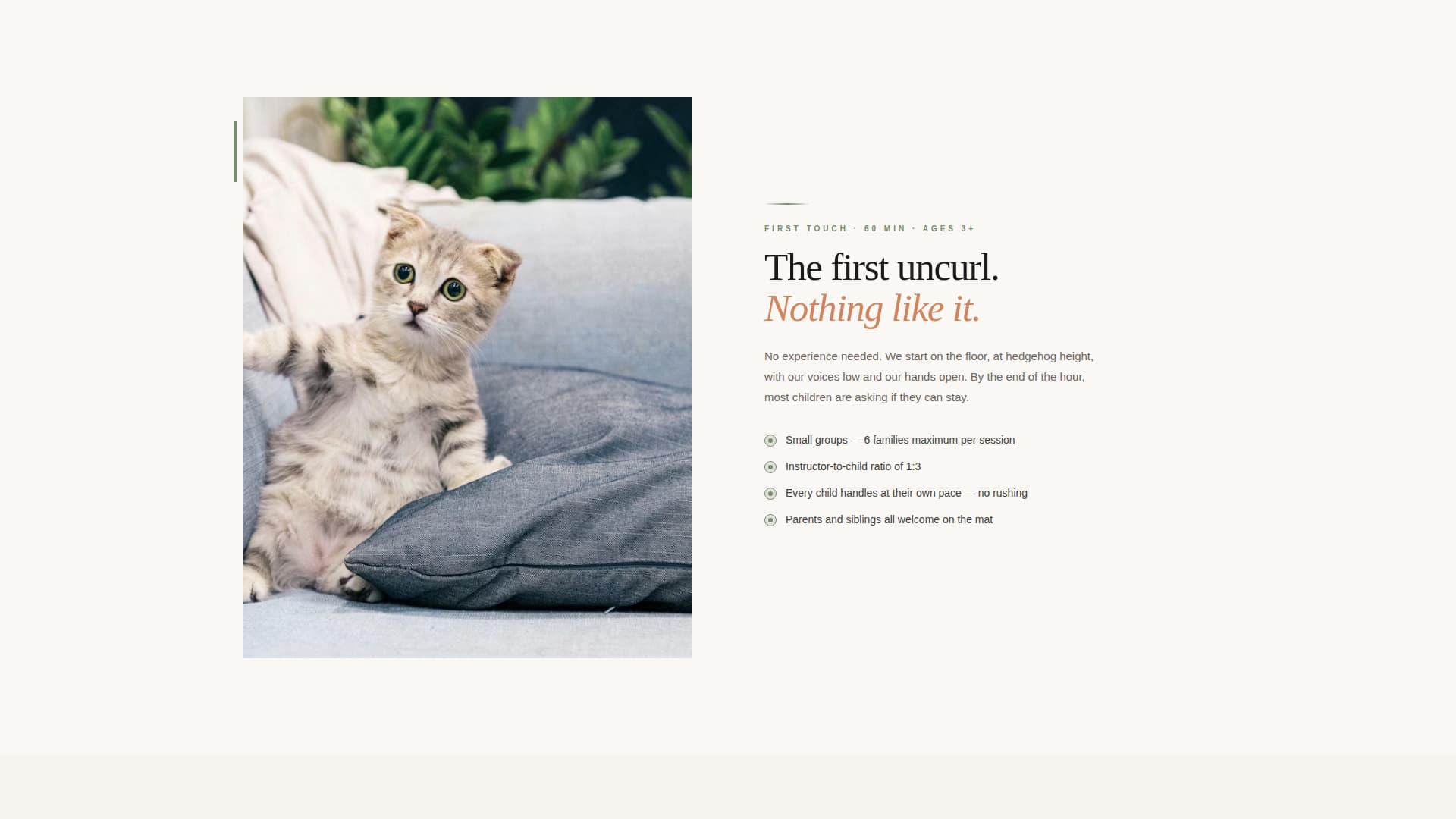 Complete Hedgehog Services Appointment Booking Website Template