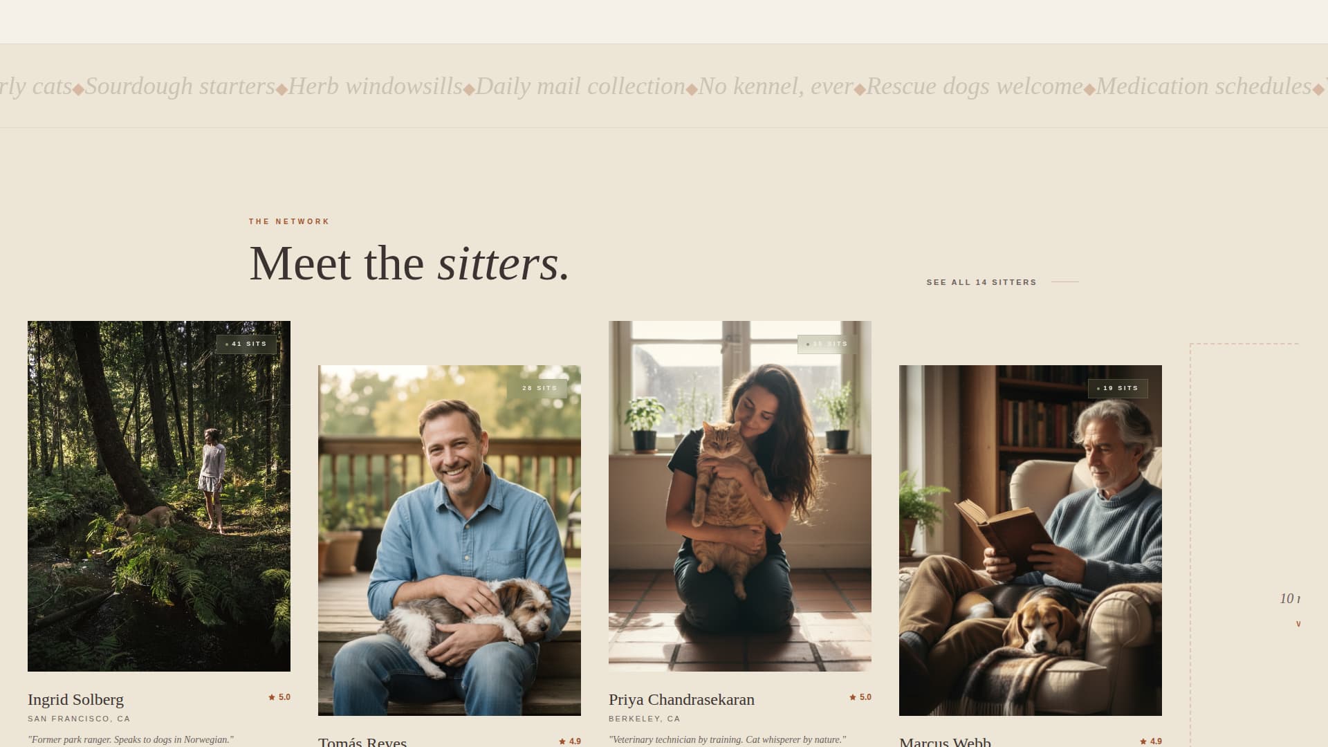 Dog Walking & Pet Sitting Professional Website Template
