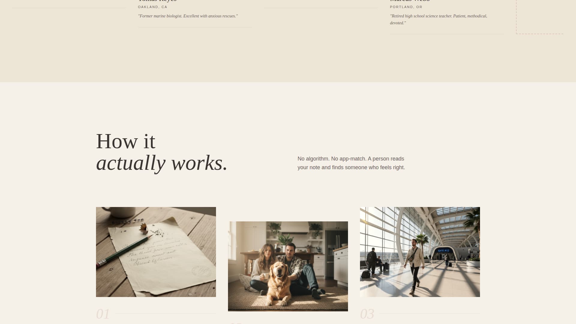 Dog Walking & Pet Sitting Professional Website Template
