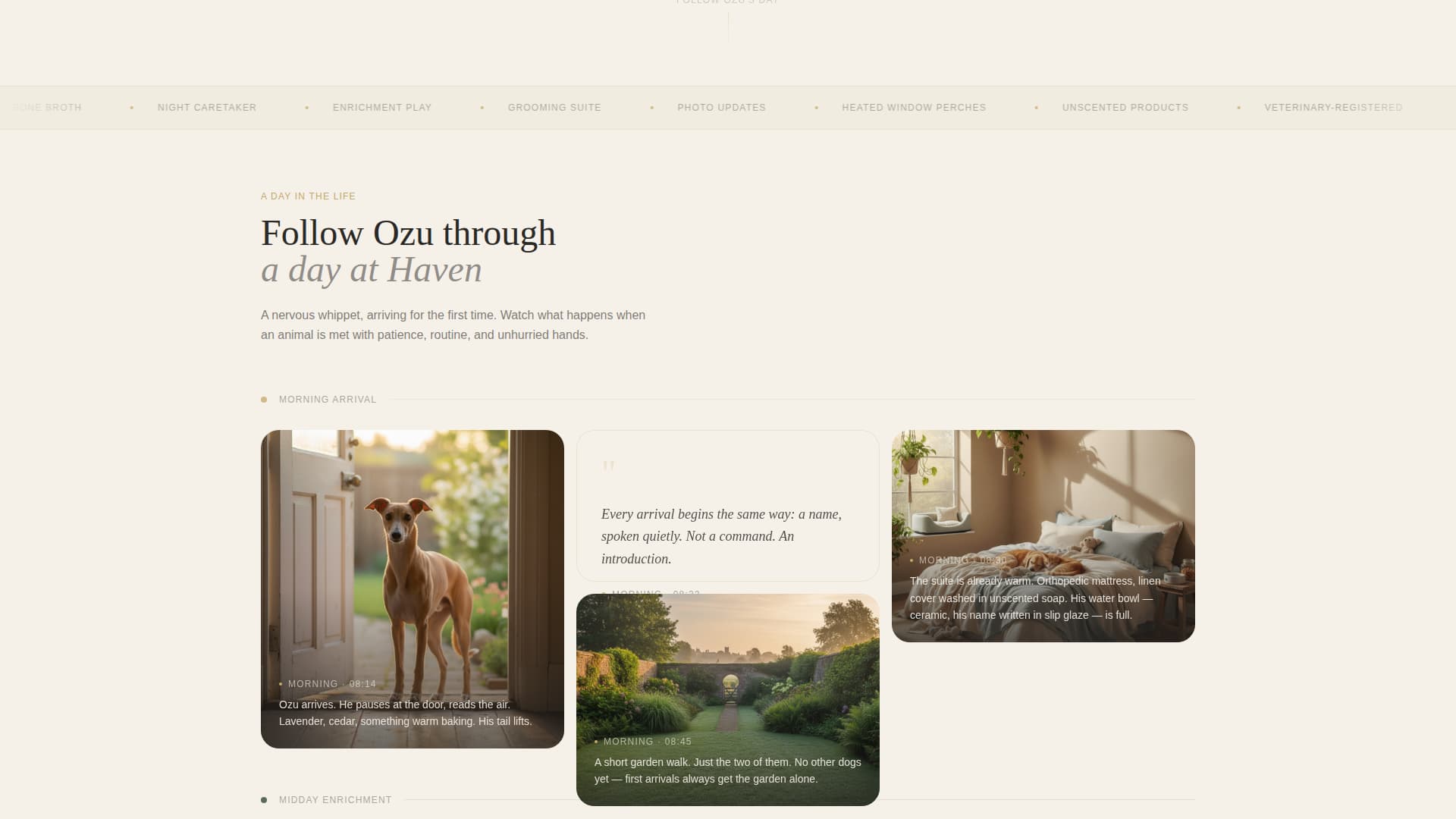 Complete Pet Boarding & Daycare Appointment Booking Website Template