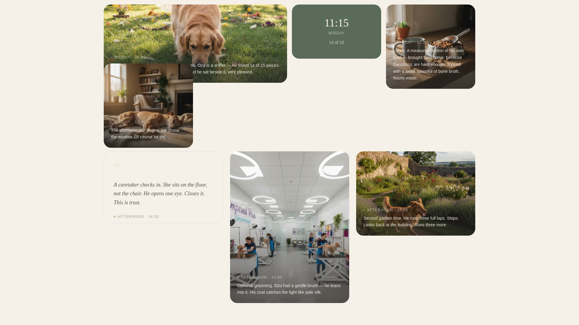 Complete Pet Boarding & Daycare Appointment Booking Website Template