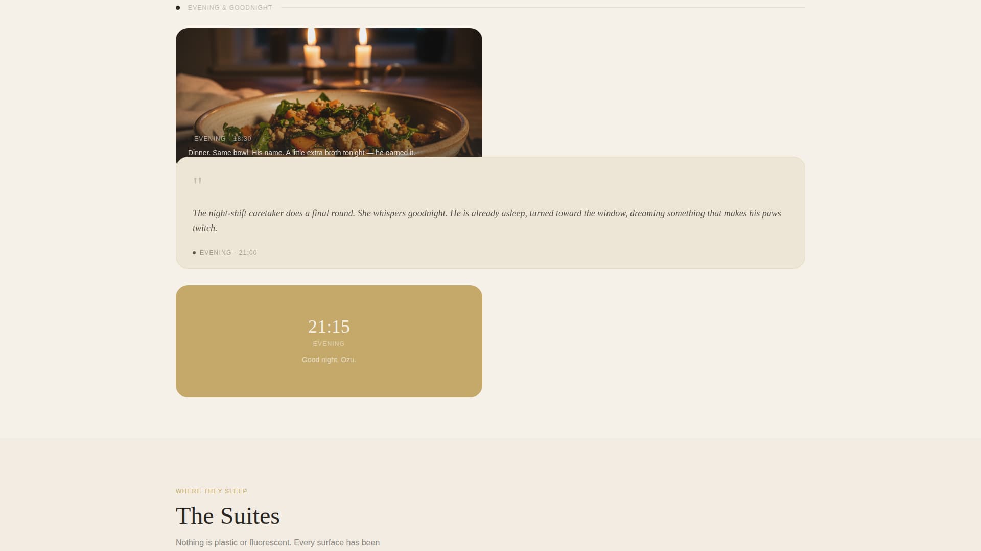 Complete Pet Boarding & Daycare Appointment Booking Website Template