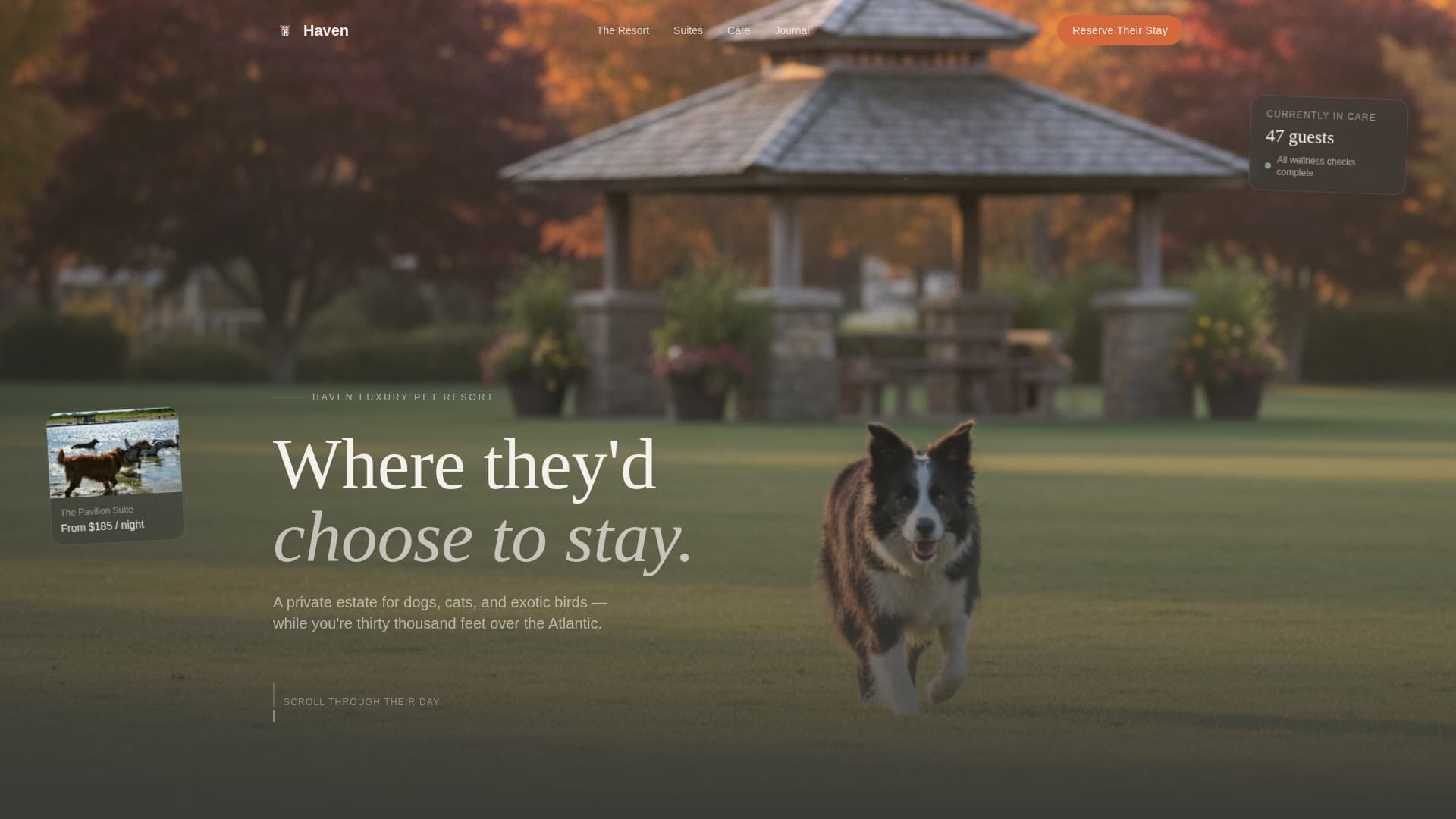 Expert Pet Boarding & Daycare Appointment Booking Website Template