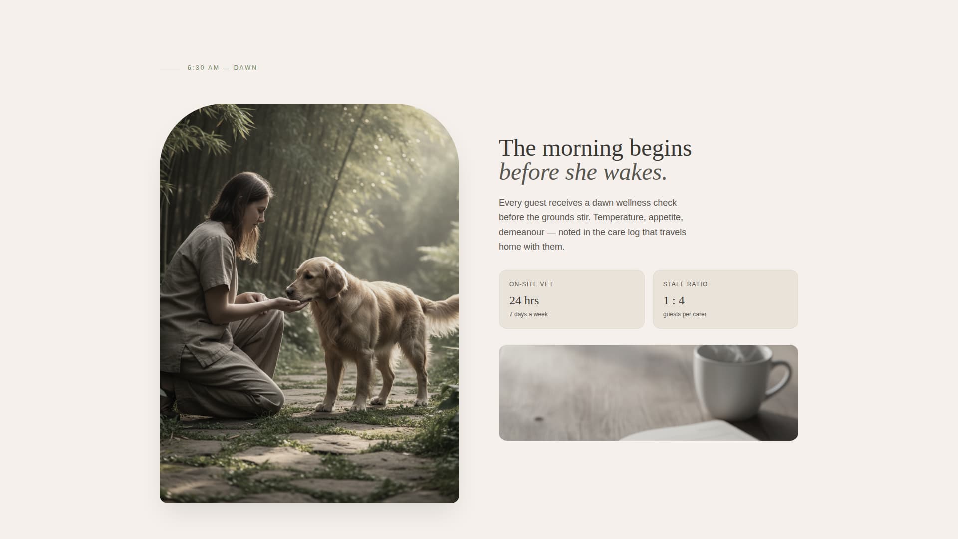 Expert Pet Boarding & Daycare Appointment Booking Website Template