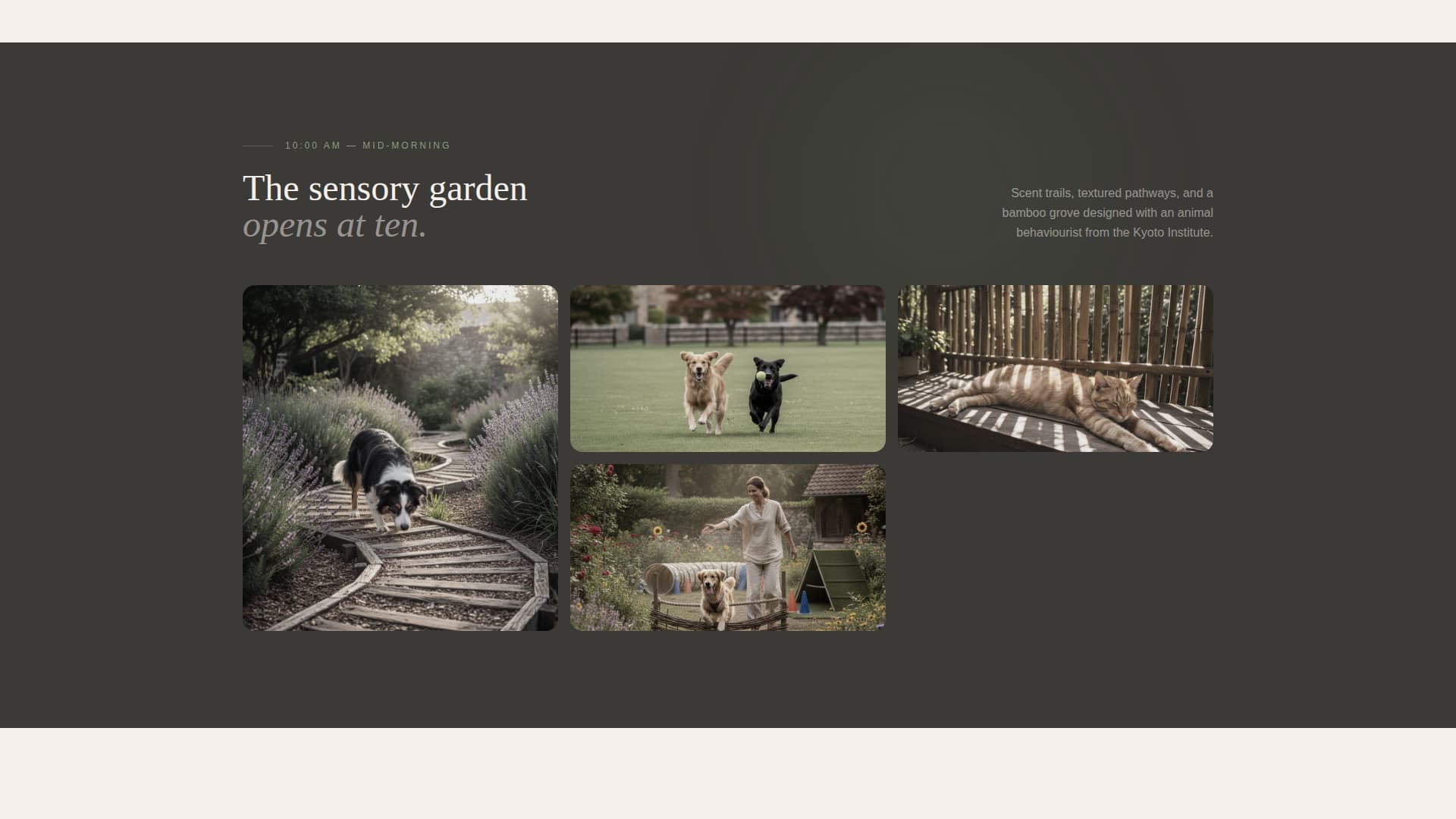 Expert Pet Boarding & Daycare Appointment Booking Website Template