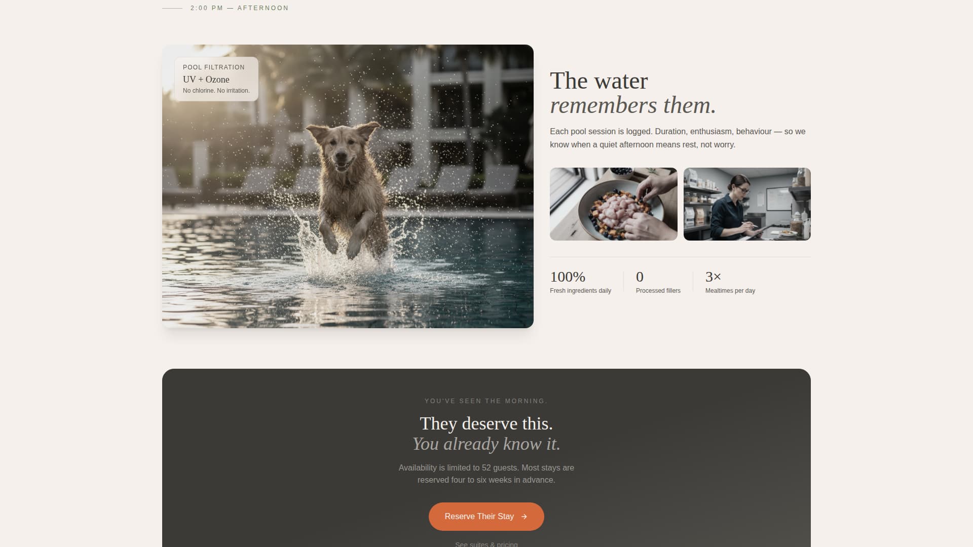 Expert Pet Boarding & Daycare Appointment Booking Website Template