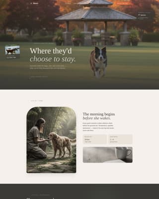 Expert Pet Boarding & Daycare Appointment Booking Website Template