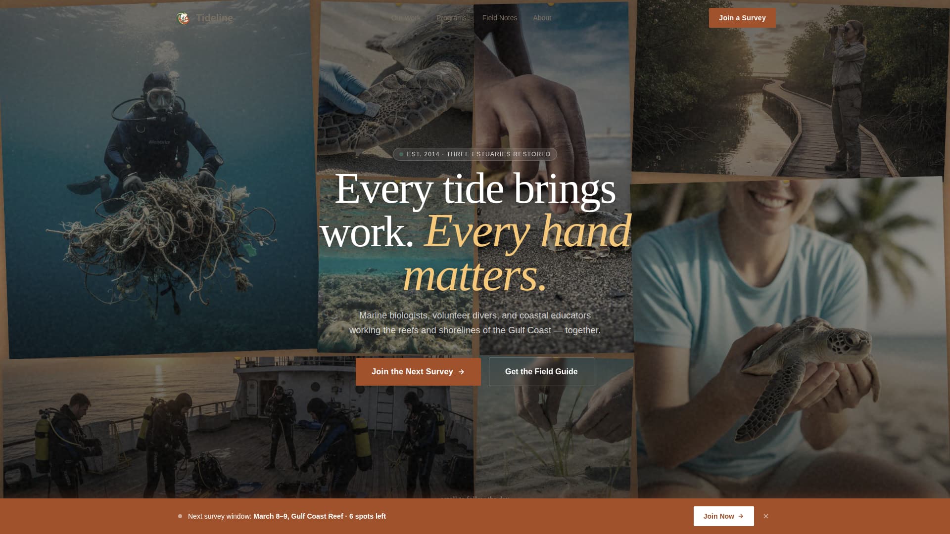 Specialist Wildlife & Conservation Professional Website Template