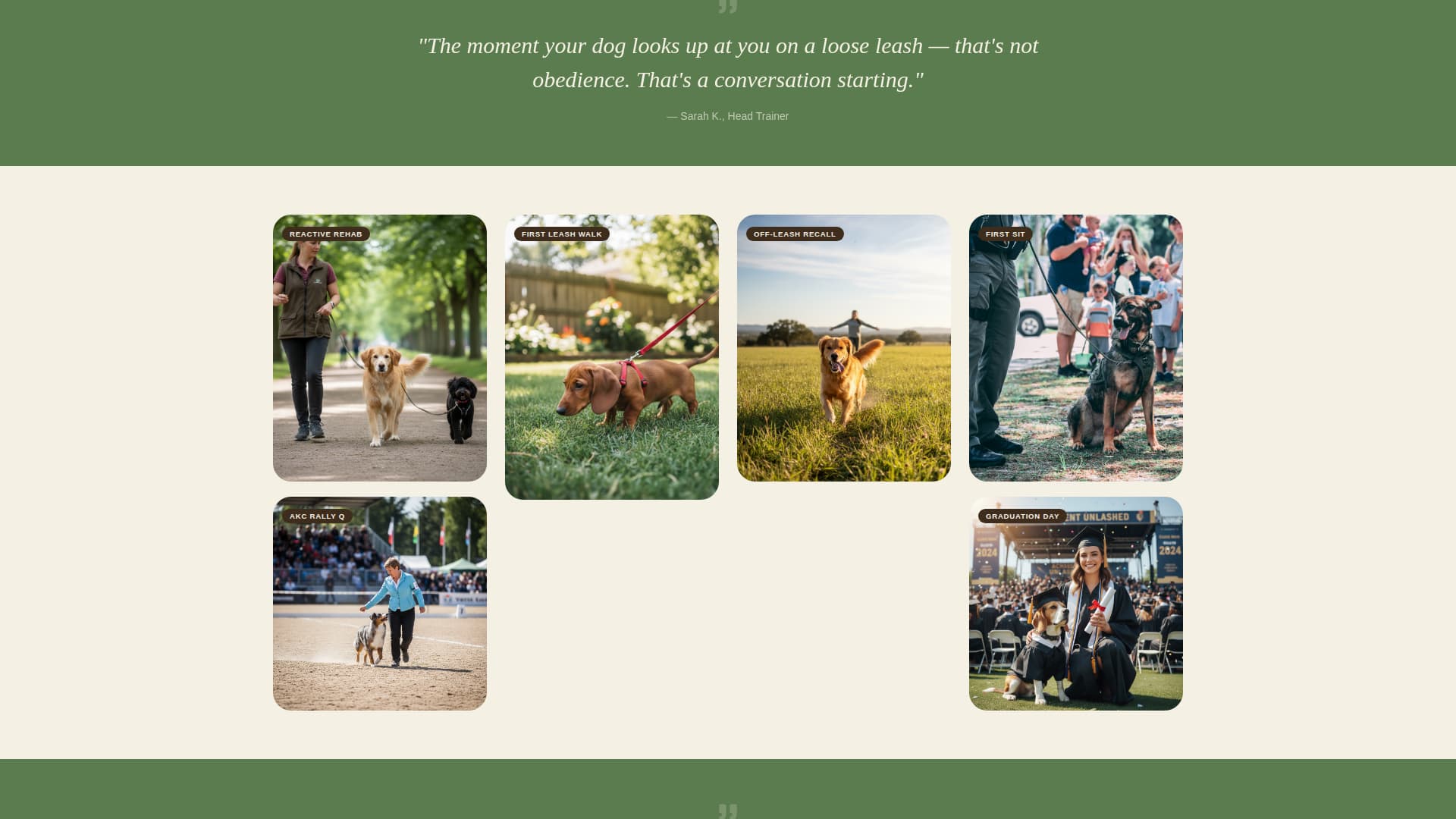 Specialist Pet Training & Behavior Portfolio & Case Study Website Template