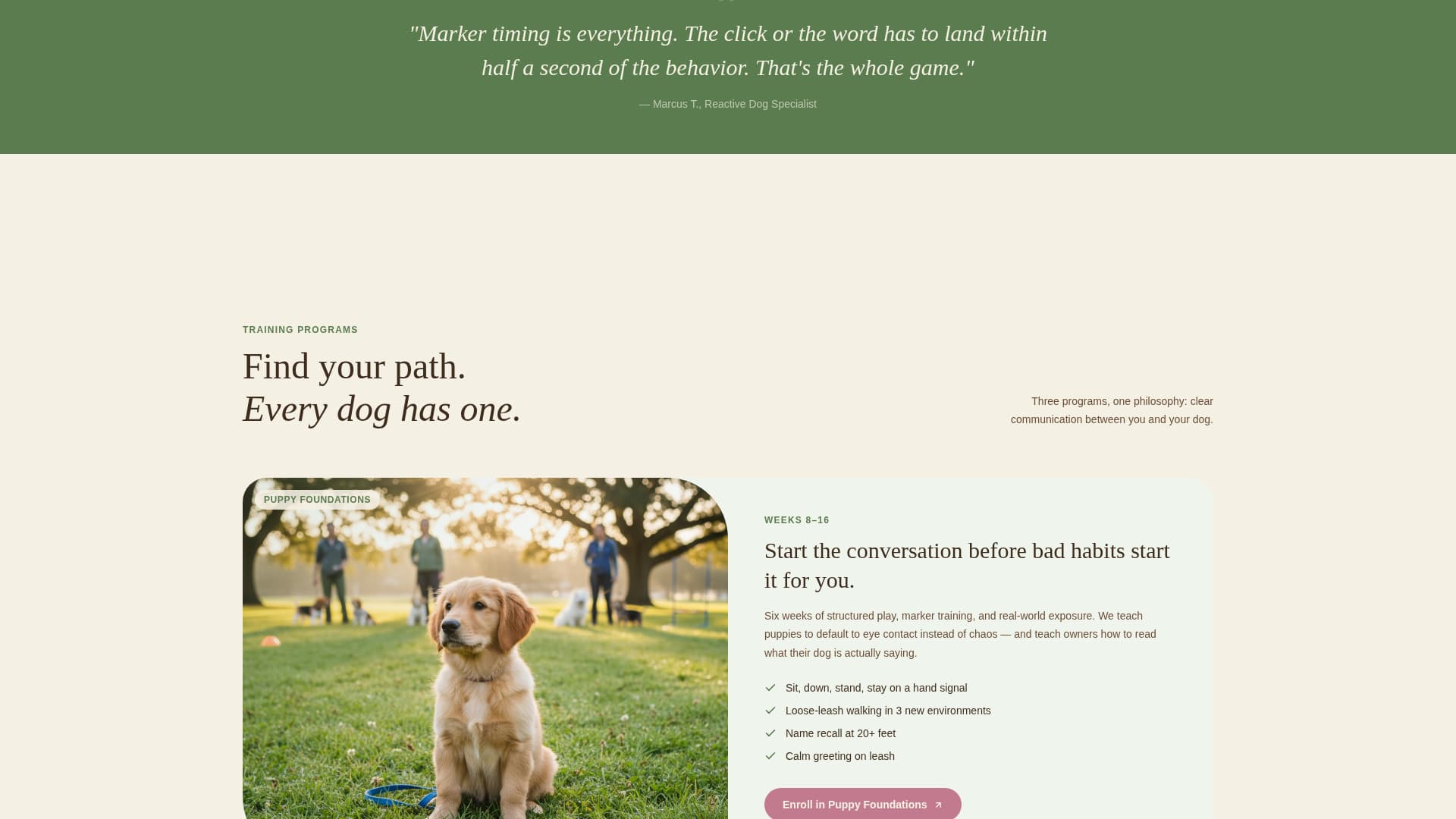 Specialist Pet Training & Behavior Portfolio & Case Study Website Template