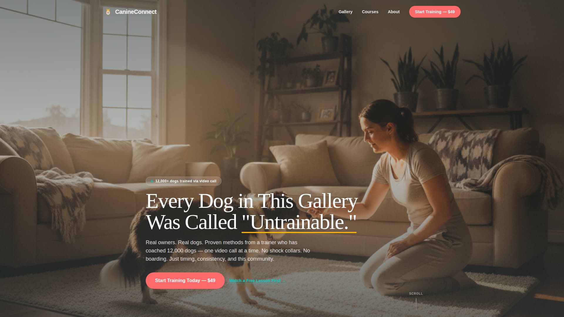Pet Training & Behavior Portfolio & Case Study Website Template