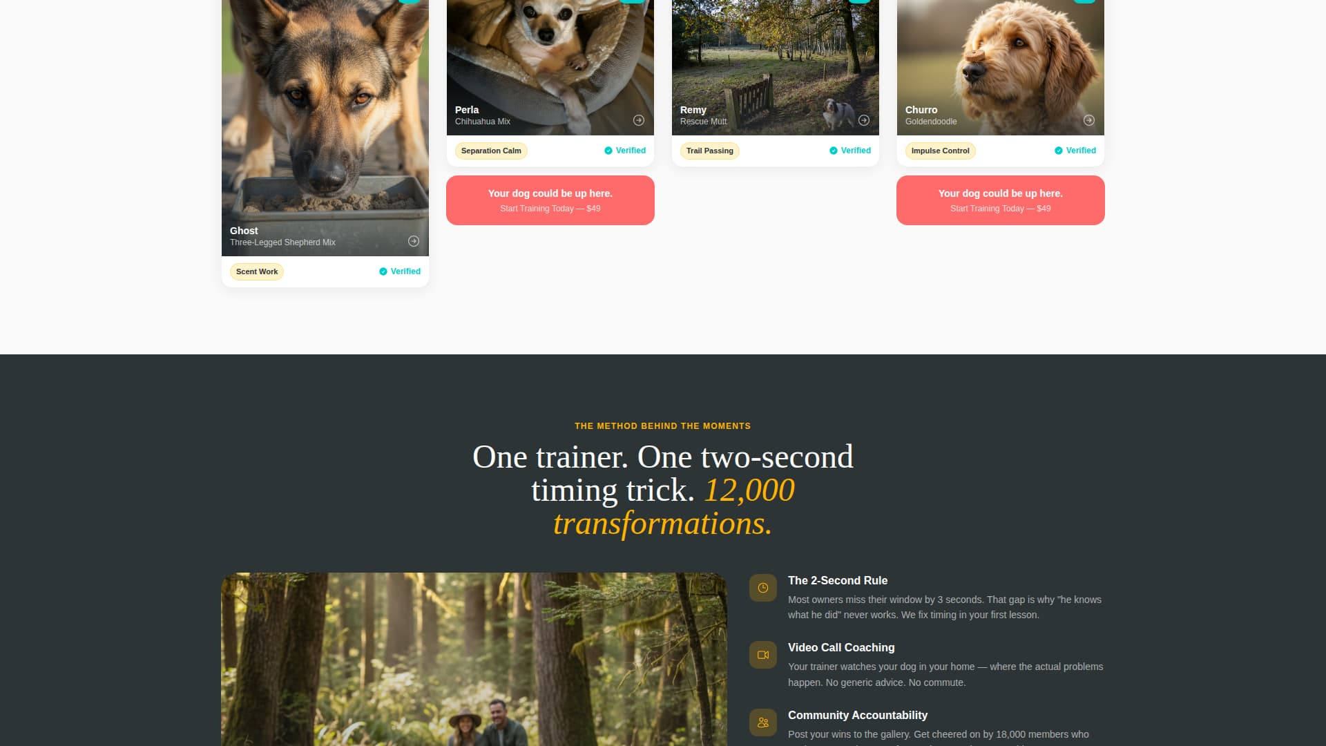 Pet Training & Behavior Portfolio & Case Study Website Template