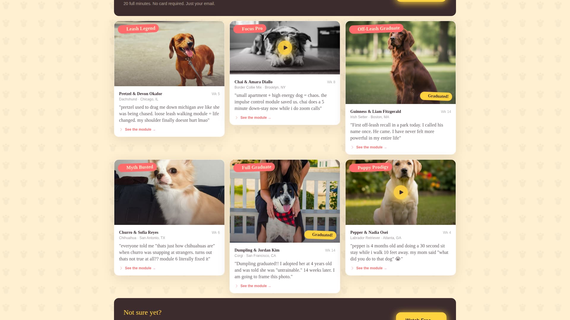 Pet Training & Behavior Pricing Website Template