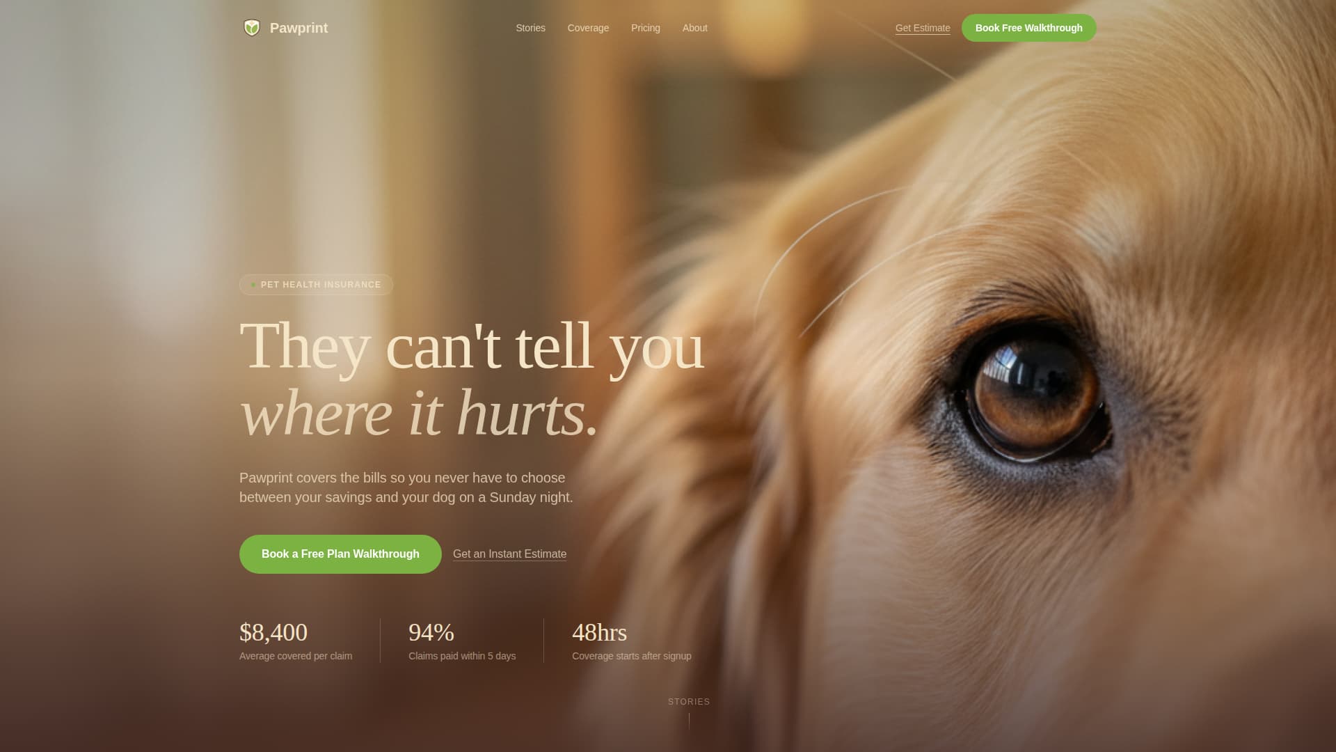 Pet Insurance & Finance Booking Website Template