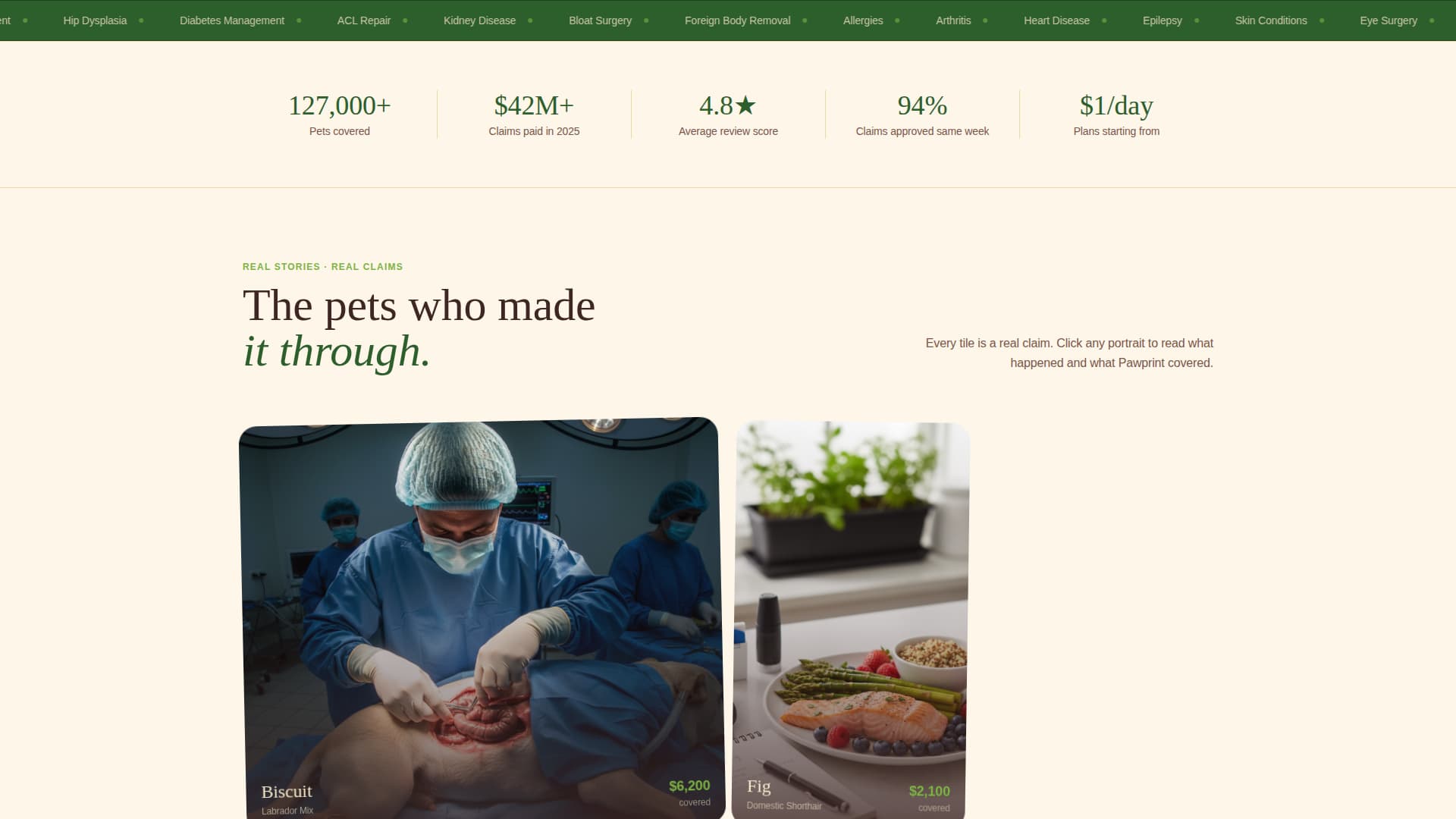 Pet Insurance & Finance Booking Website Template