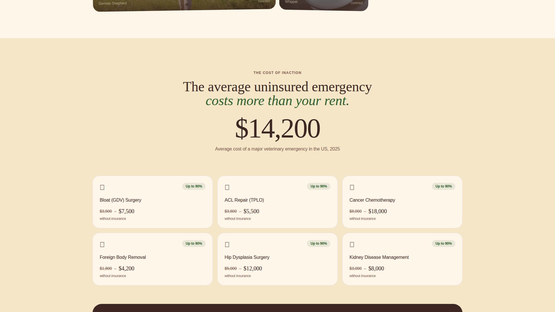 Pet Insurance & Finance Booking Website Template