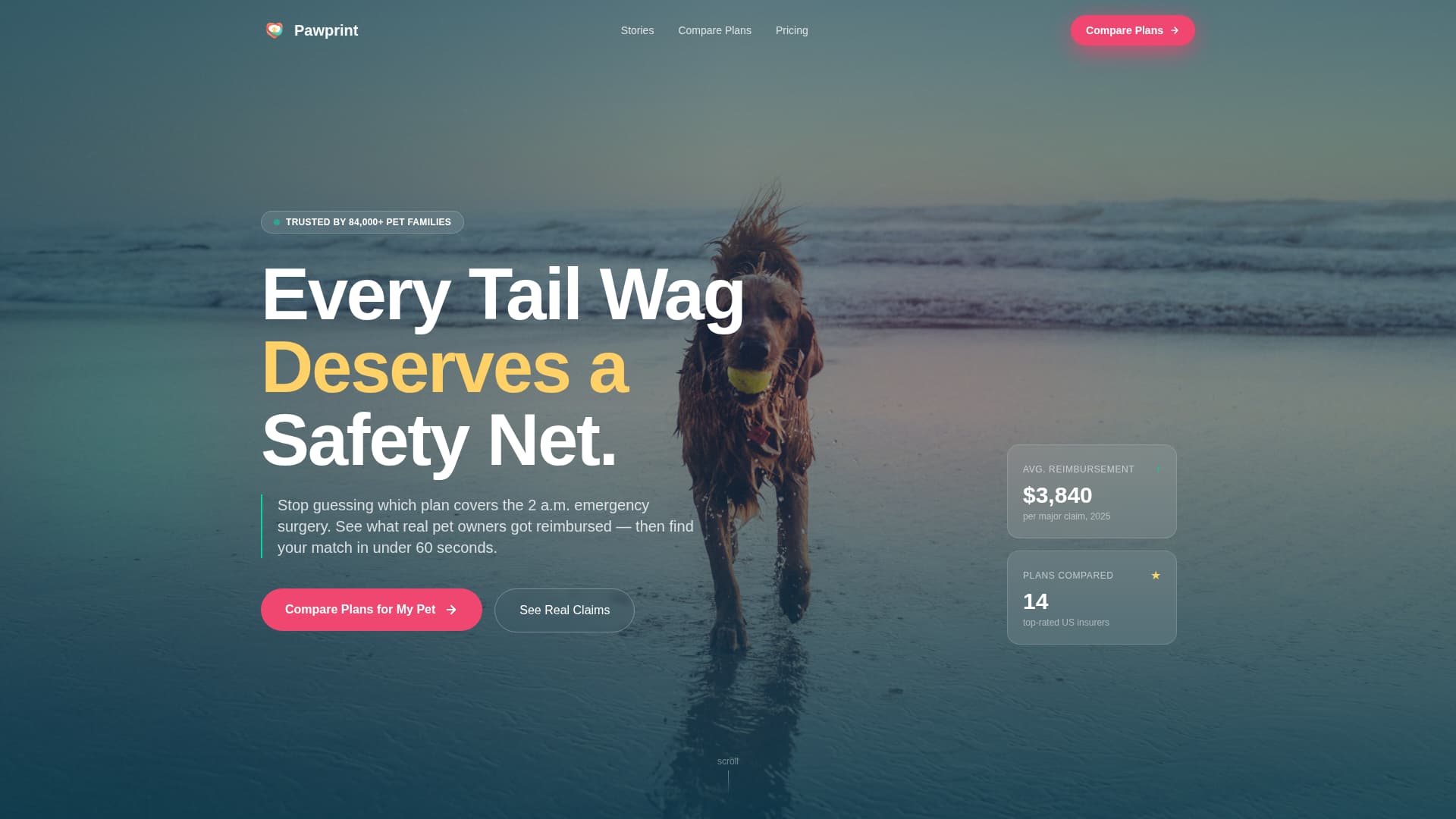 Pet Insurance & Finance Reviews Website Template