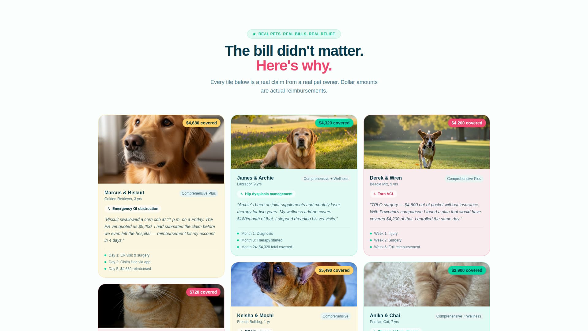 Pet Insurance & Finance Reviews Website Template