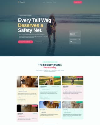 Pet Insurance & Finance Reviews Website Template